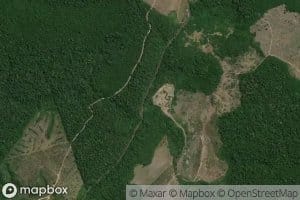 Igarape Braco Forte