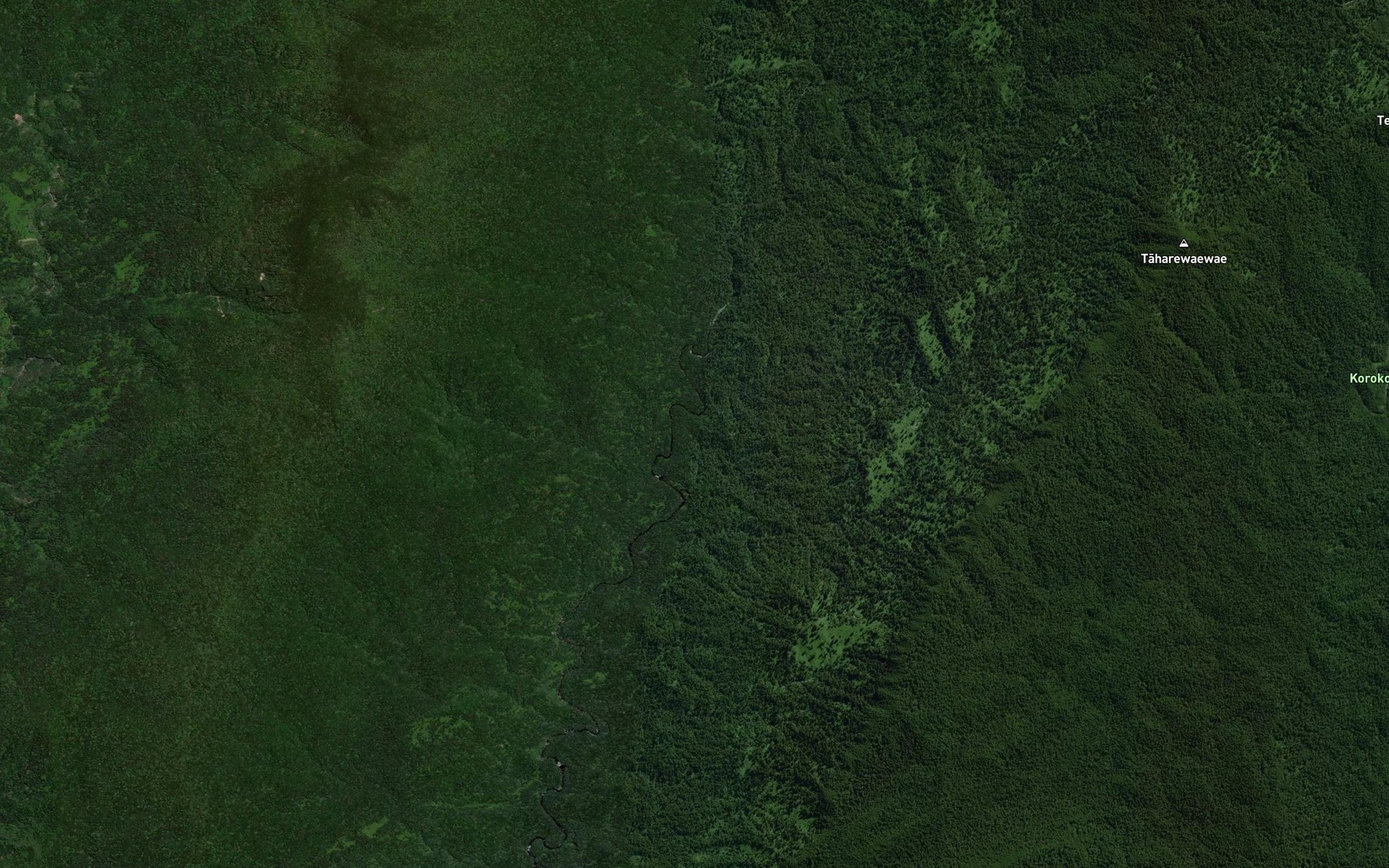Satellite map of the Te Mahanga Stream