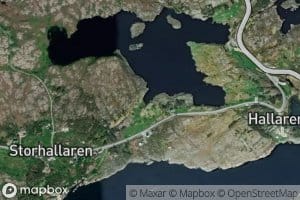 Litlaunvikan