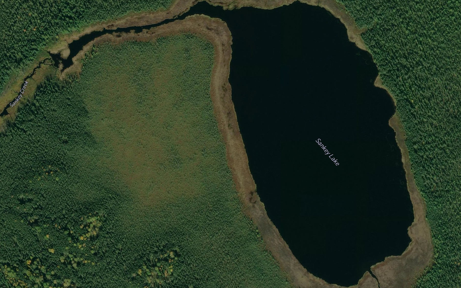 Satellite map of the Sankey Lake