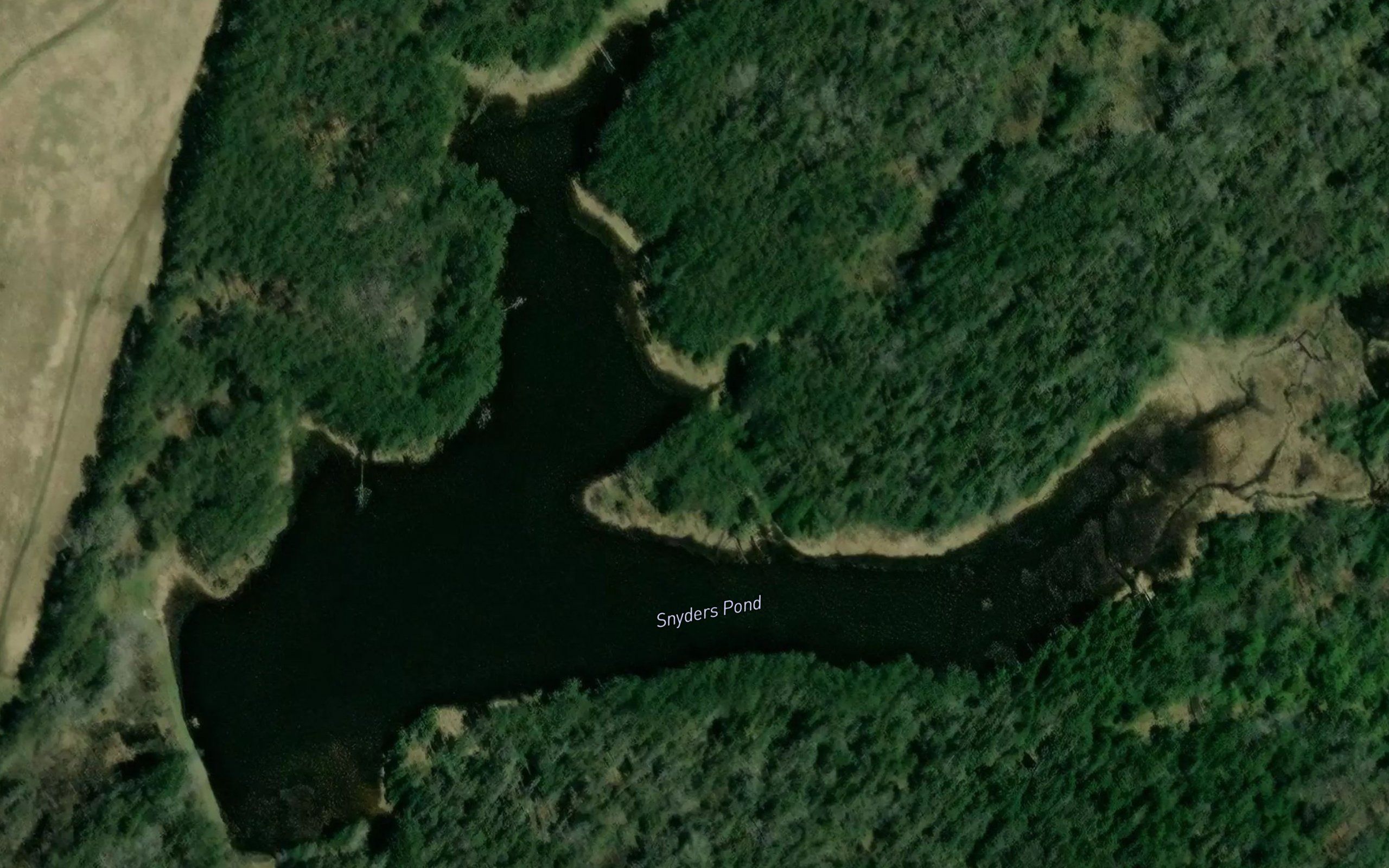 Snyders Pond