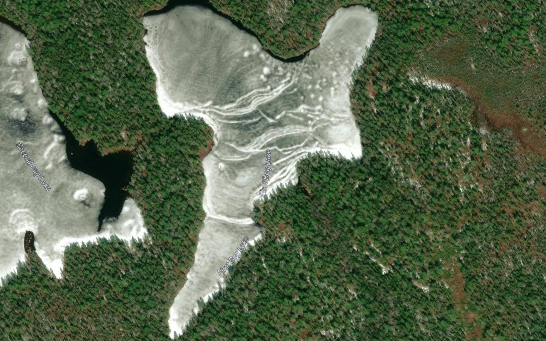 Satellite map of the First Bog Lake
