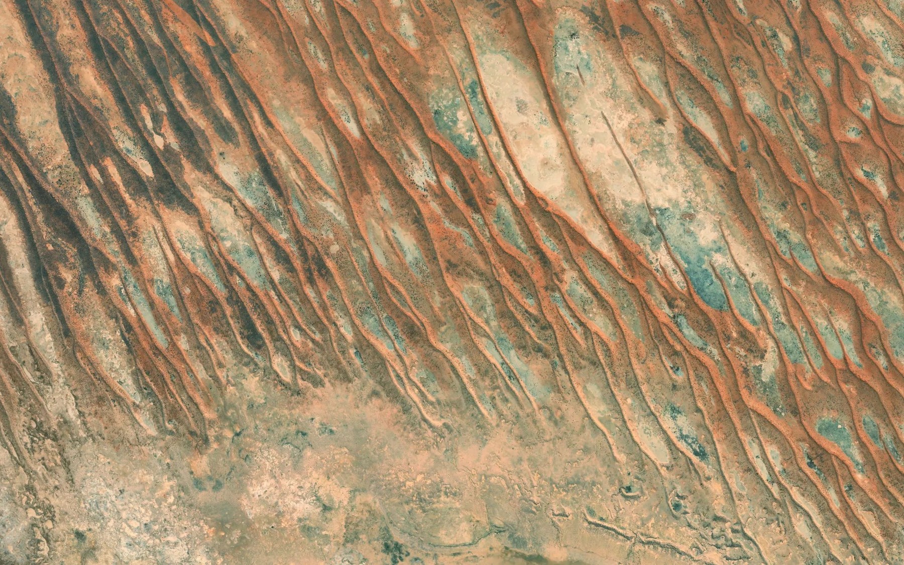 Satellite map of the Lake Mipia