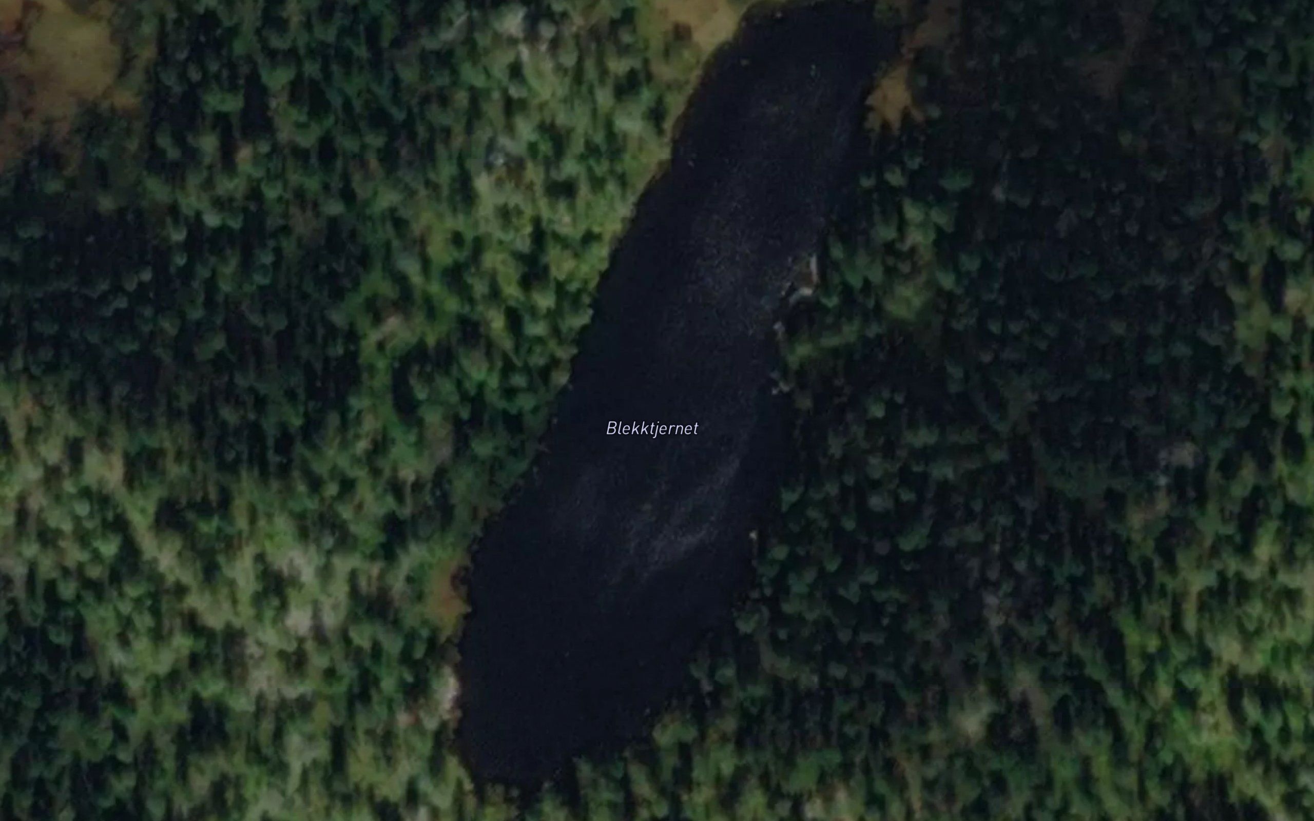Blekktjernet