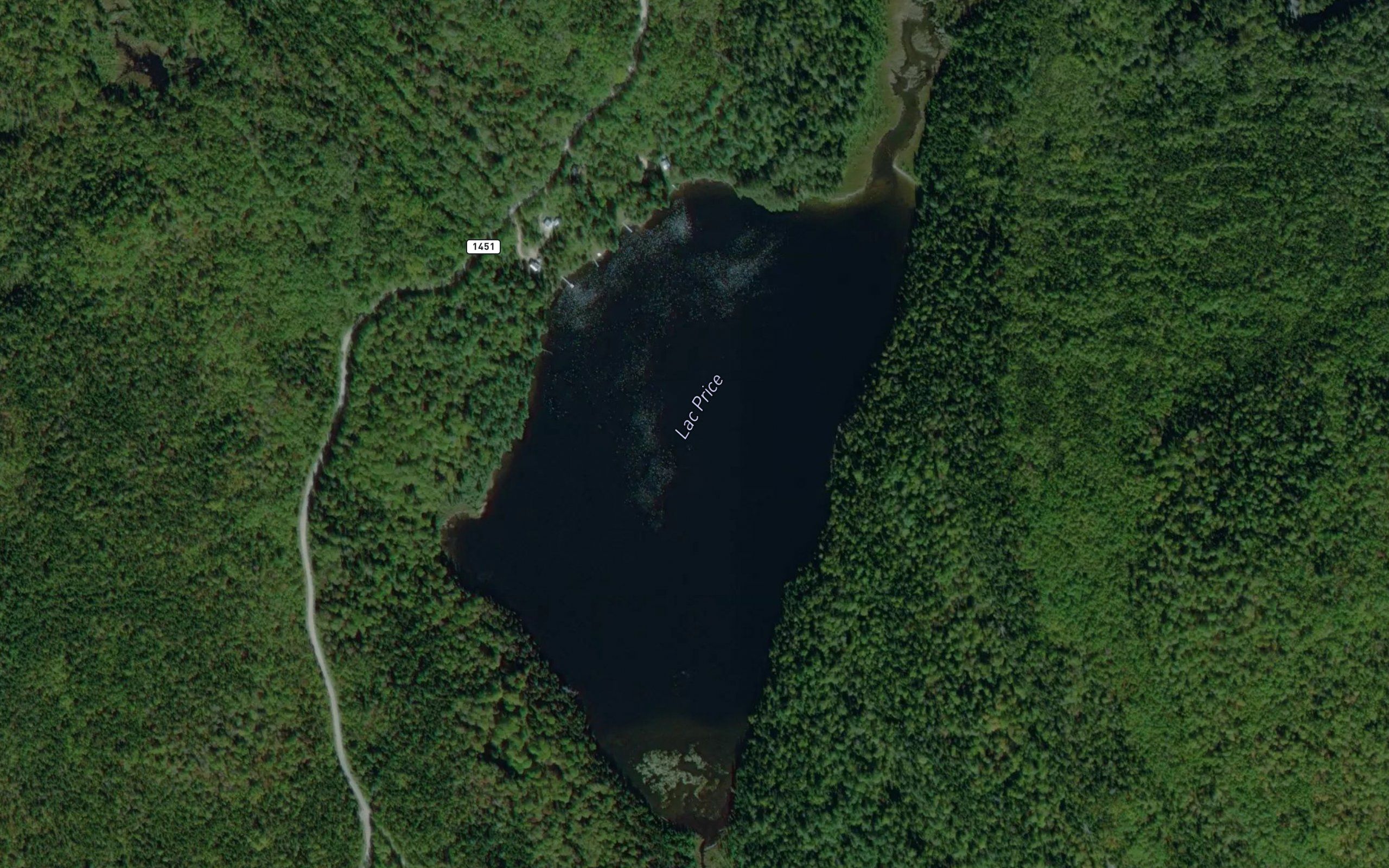 Lac Price