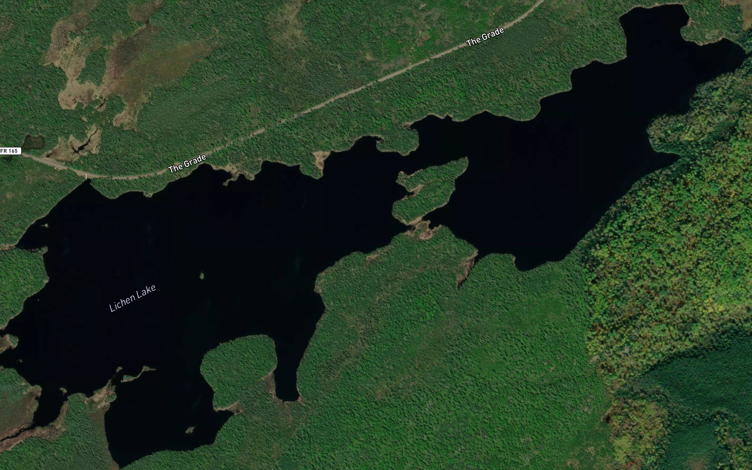 Lichen Lake