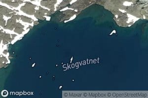 Skogvatnet