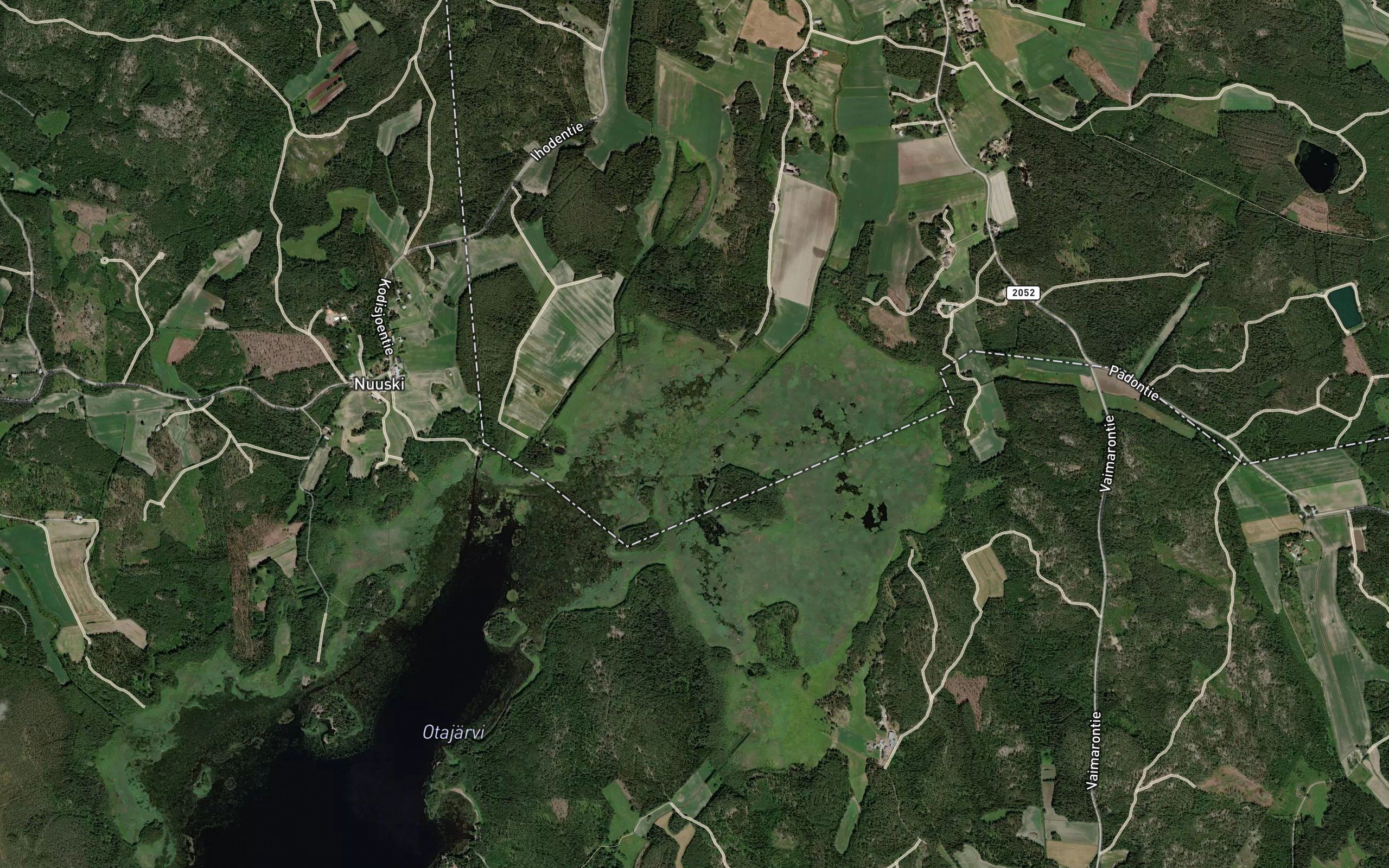 Kodisjoki