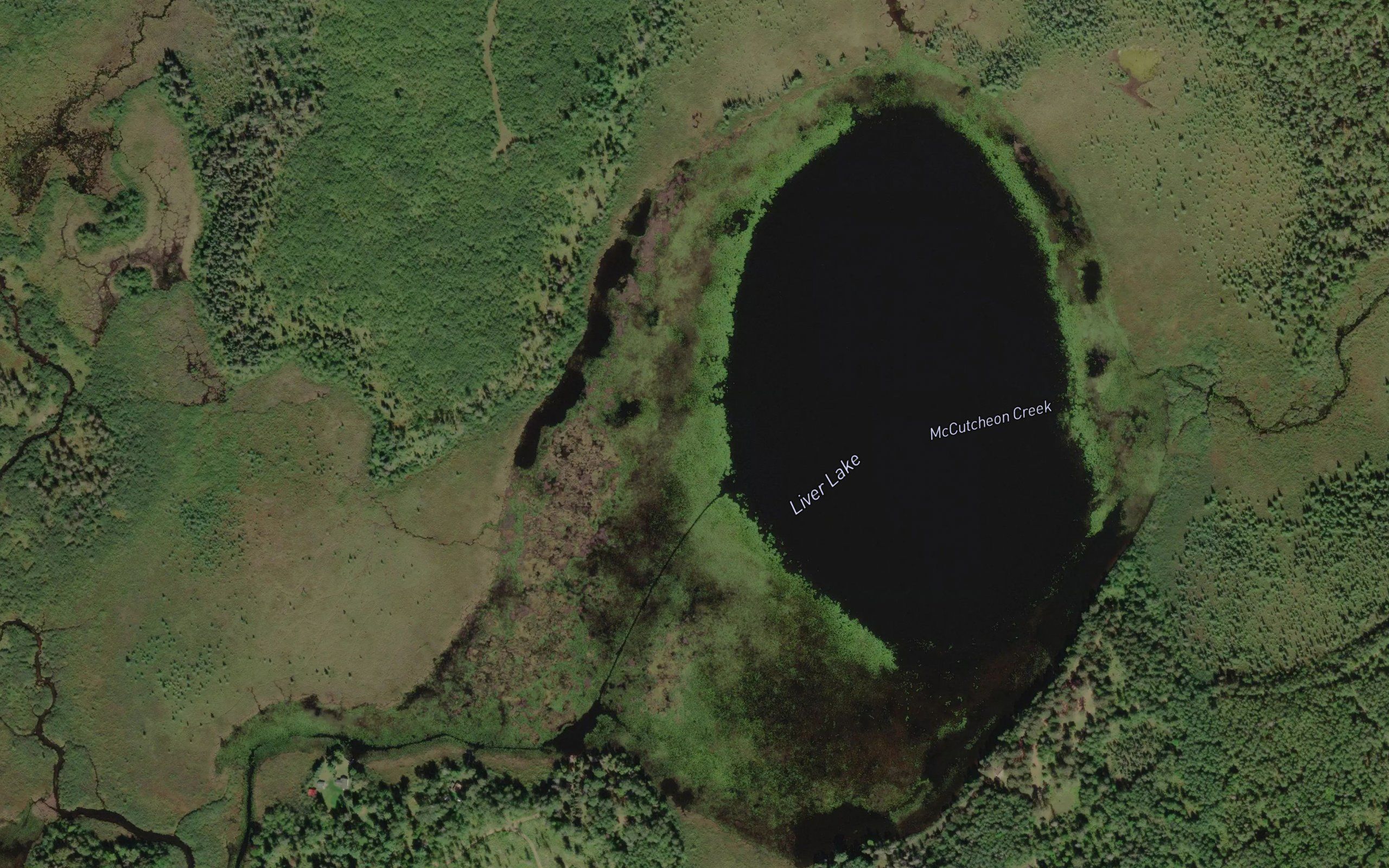 Liver Lake