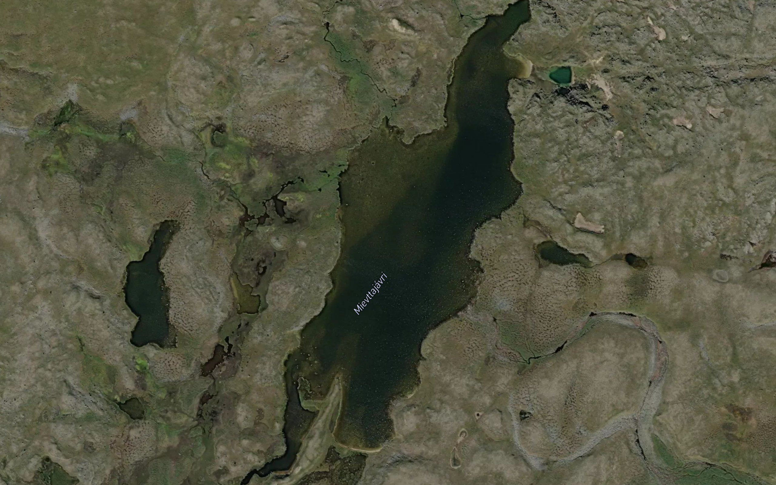 Mievtajavri