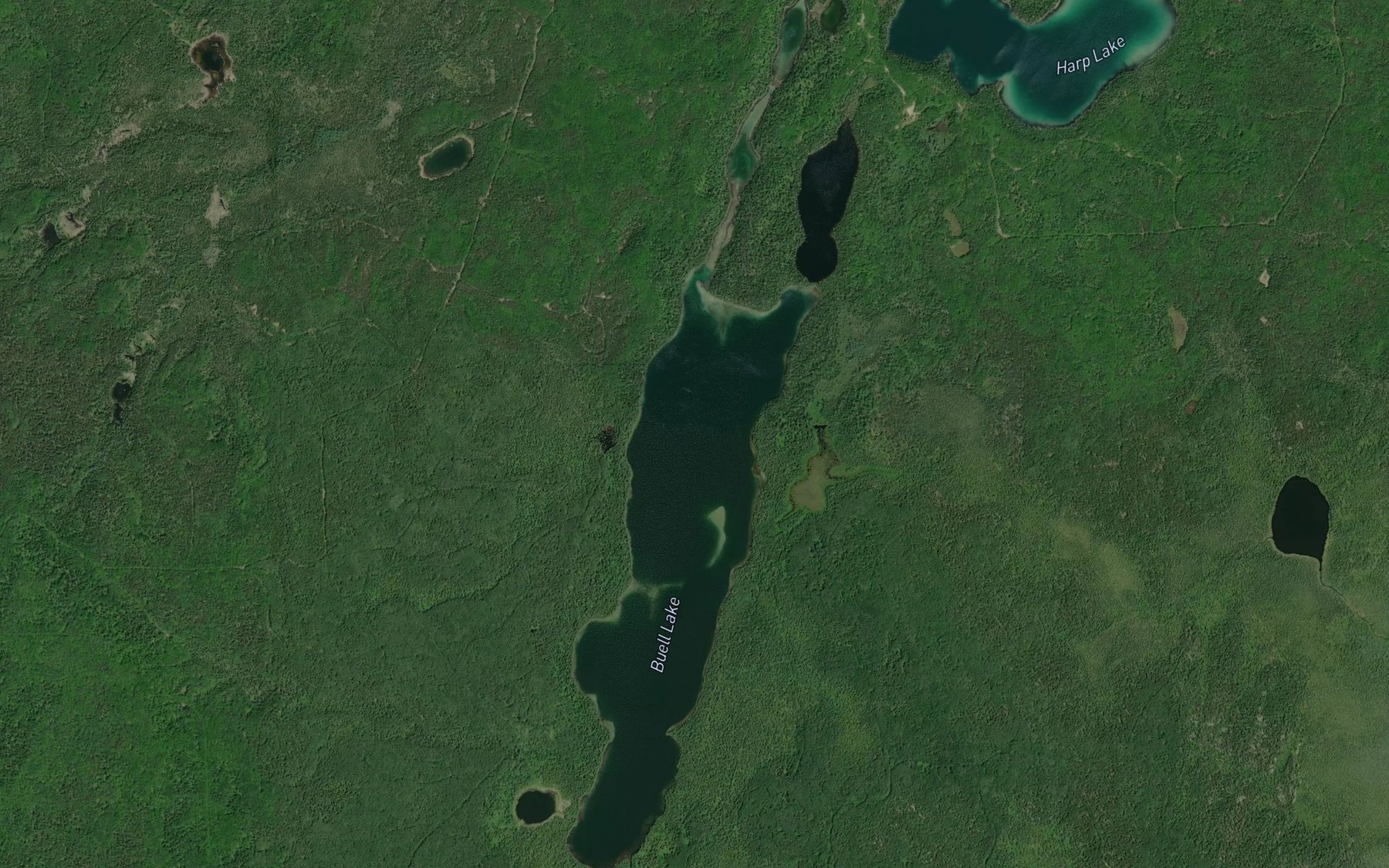 Satellite map of the Buell Lake