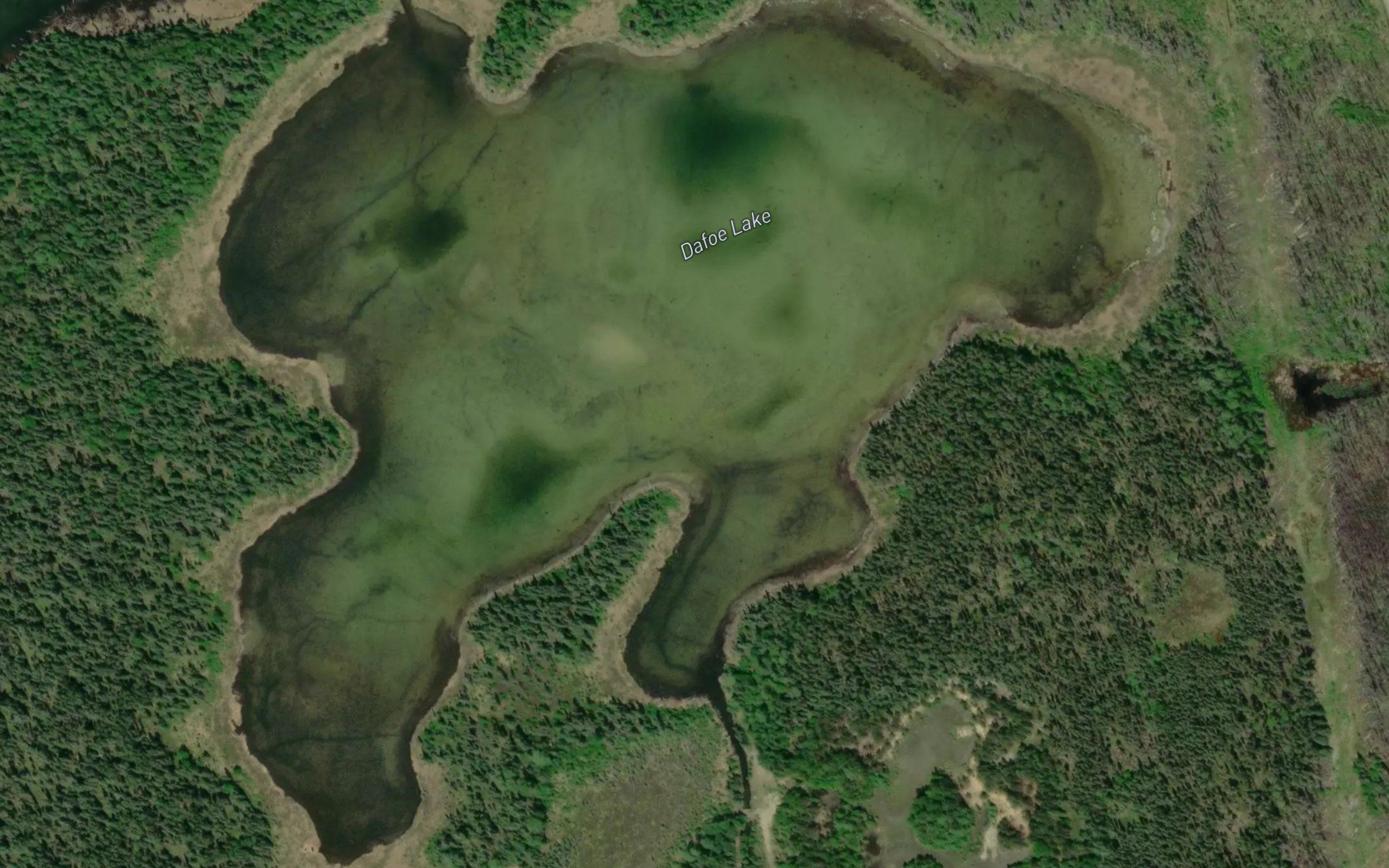 Dafoe Lake