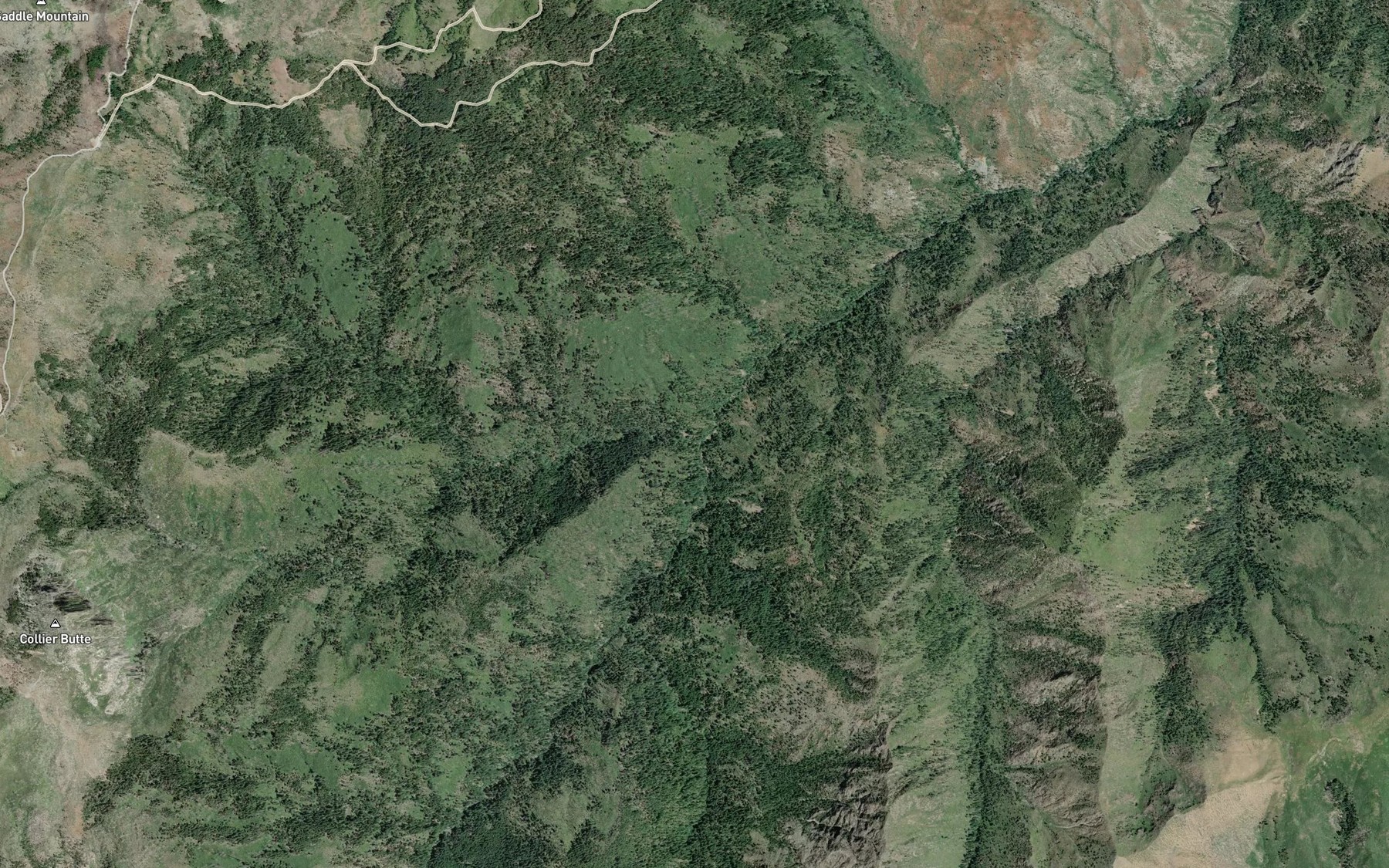 Satellite map of the South Fork Collier Creek
