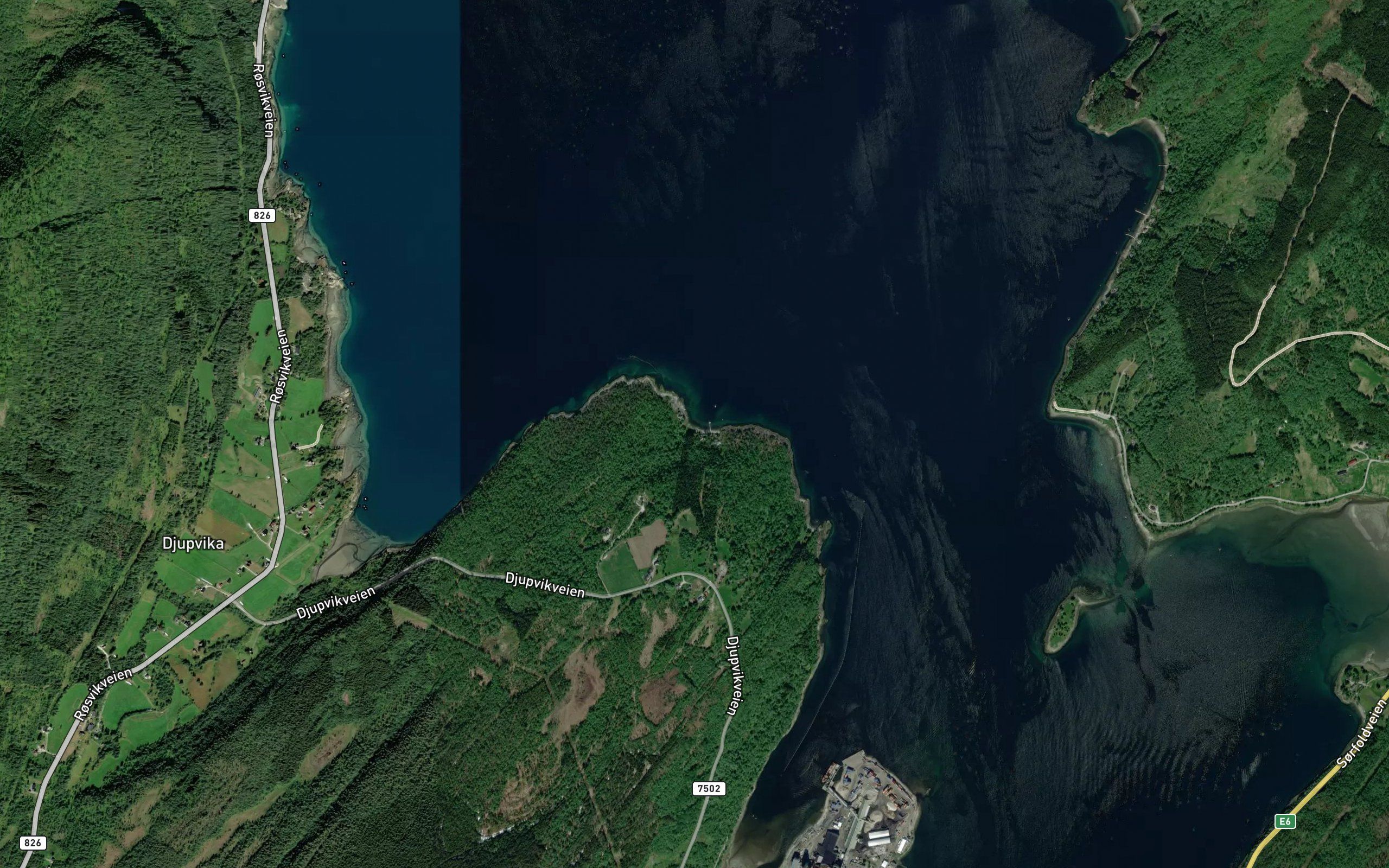 Falkvika