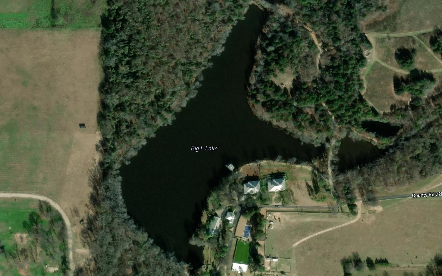Satellite map of the Big L Lake