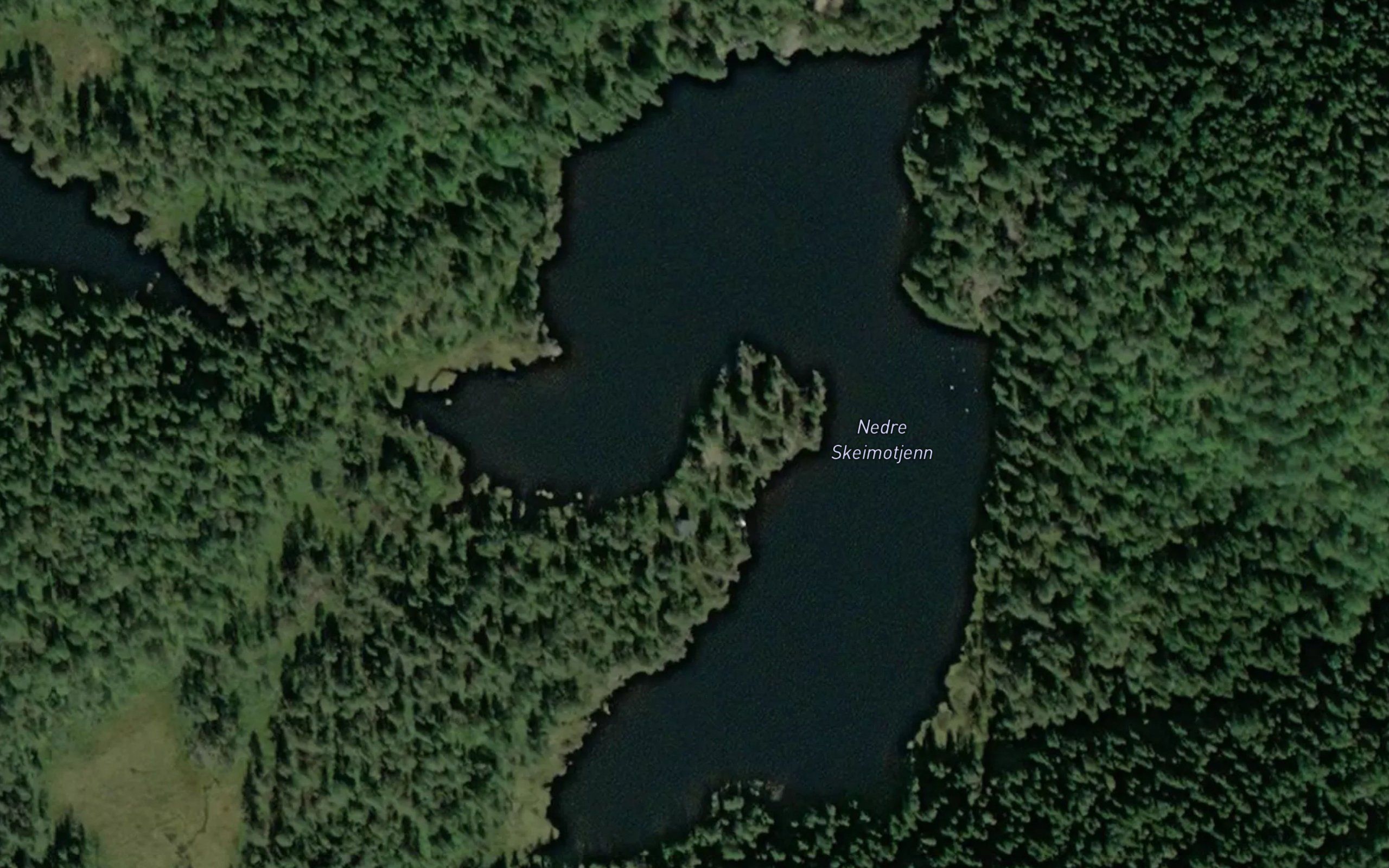 Skeimotjenn,nedre