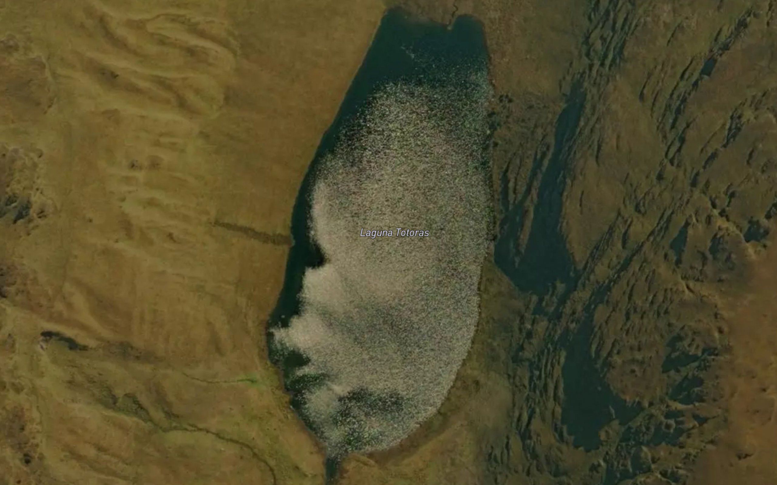 Laguna Totoras