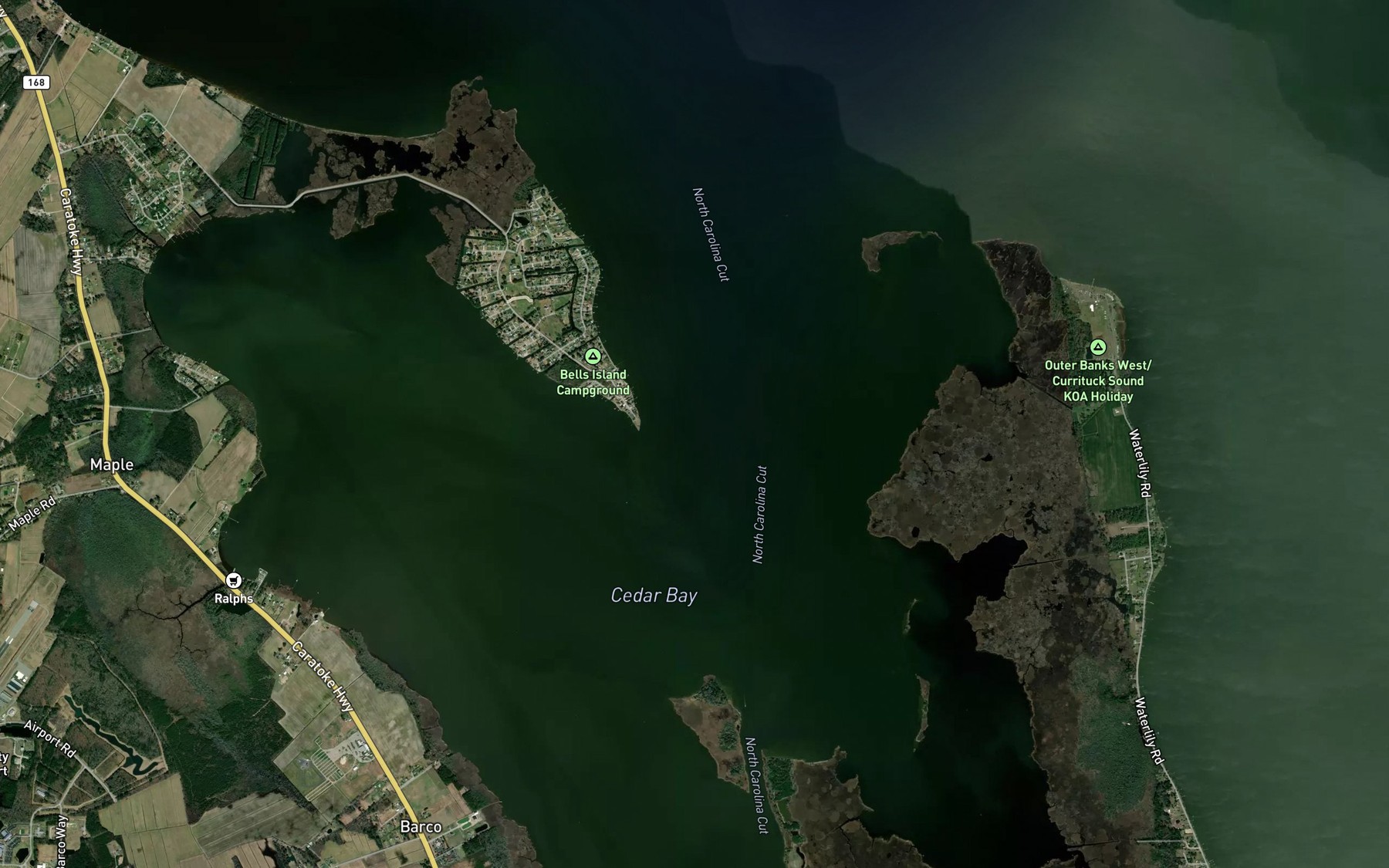 Satellite map of the Goose Castle