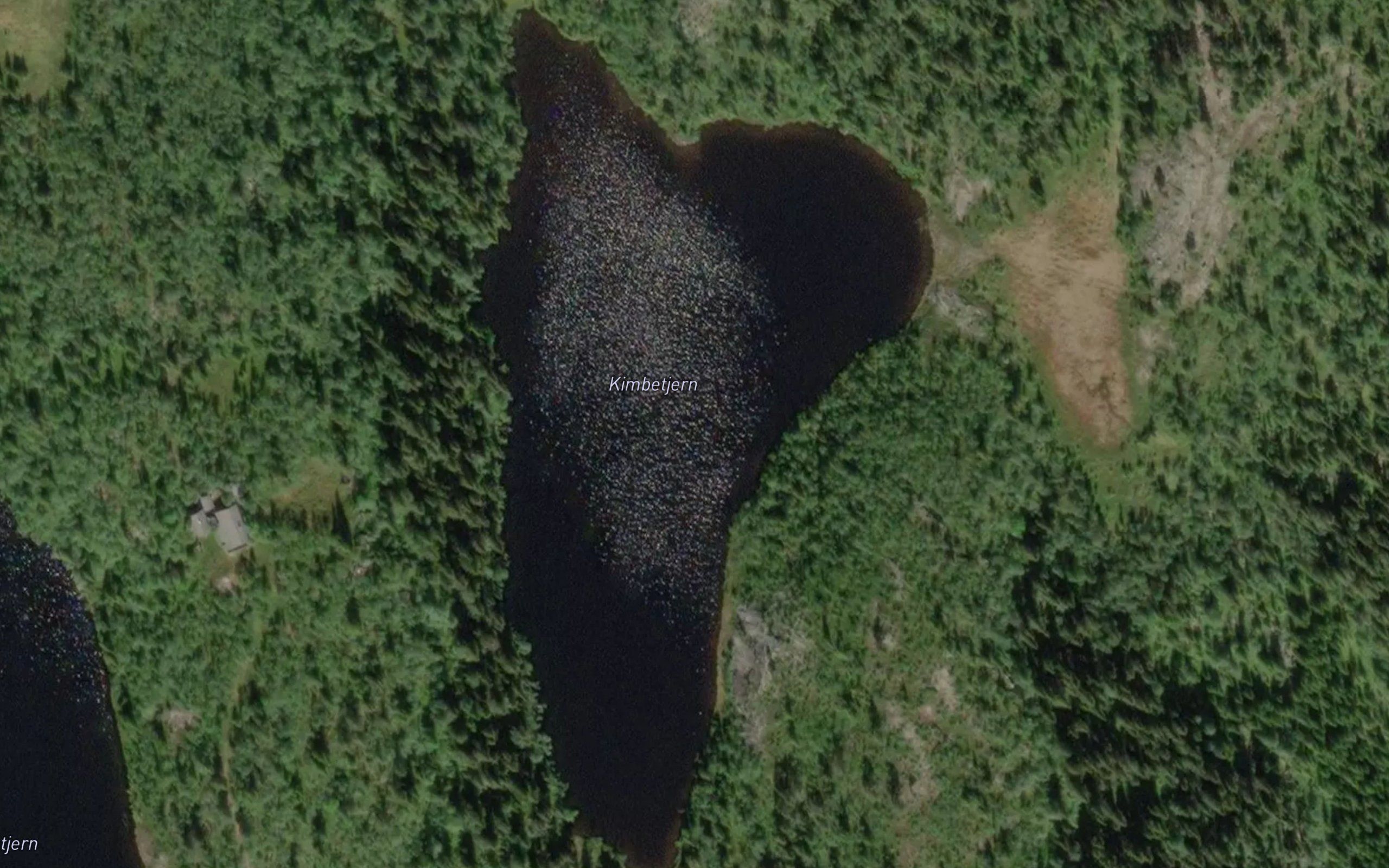 Kimbetjern