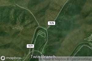 Twin Branch