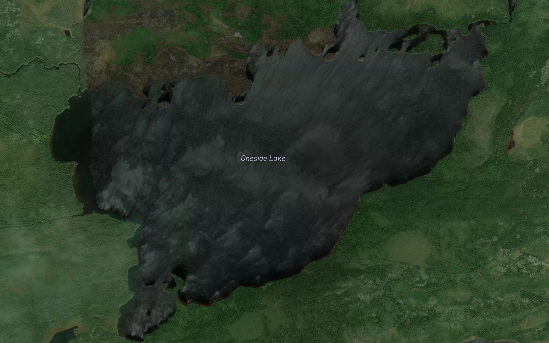 Satellite map of the Oneside Lake