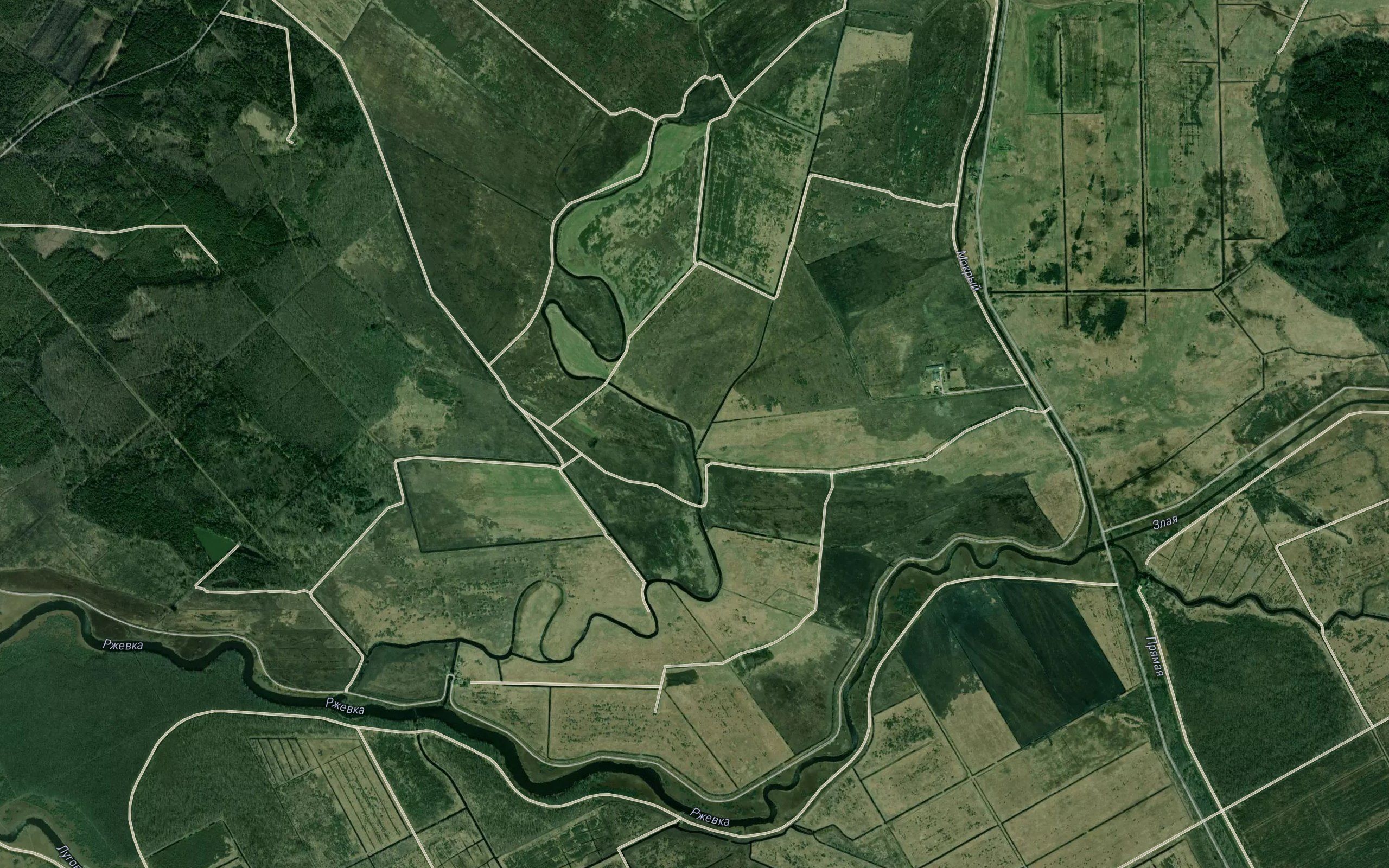Rogovaya