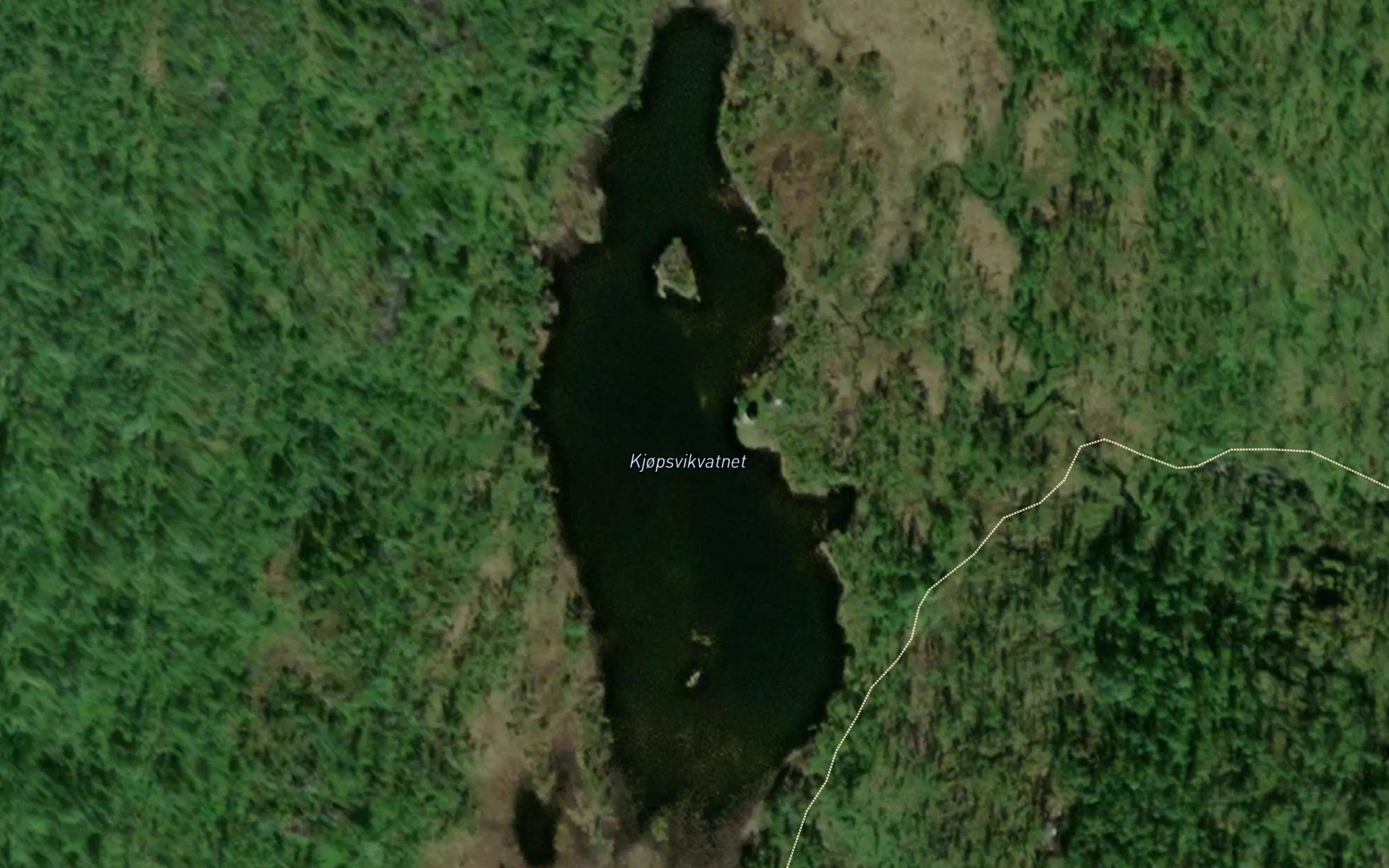 Kjopsvikvatnet