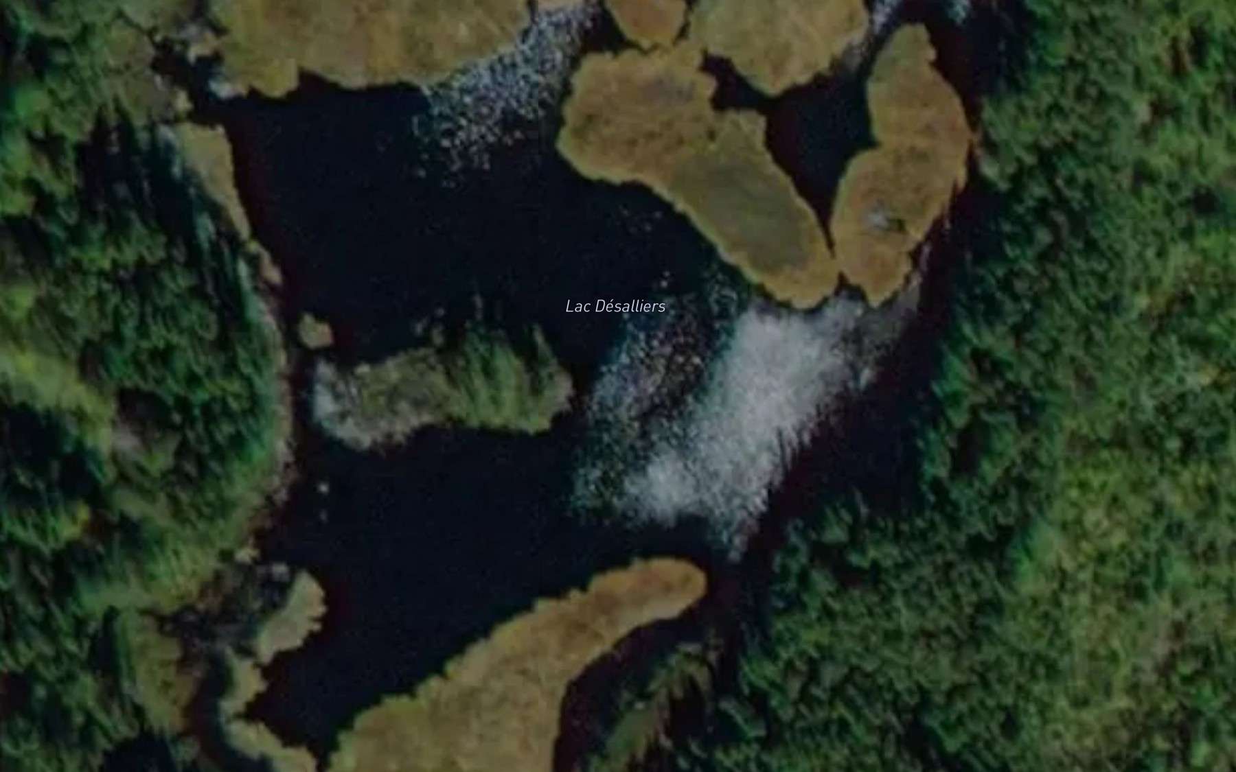 Satellite map of the Lac Desalliers