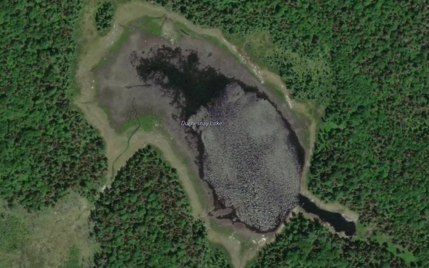 Satellite map of the Duchesnay Lake