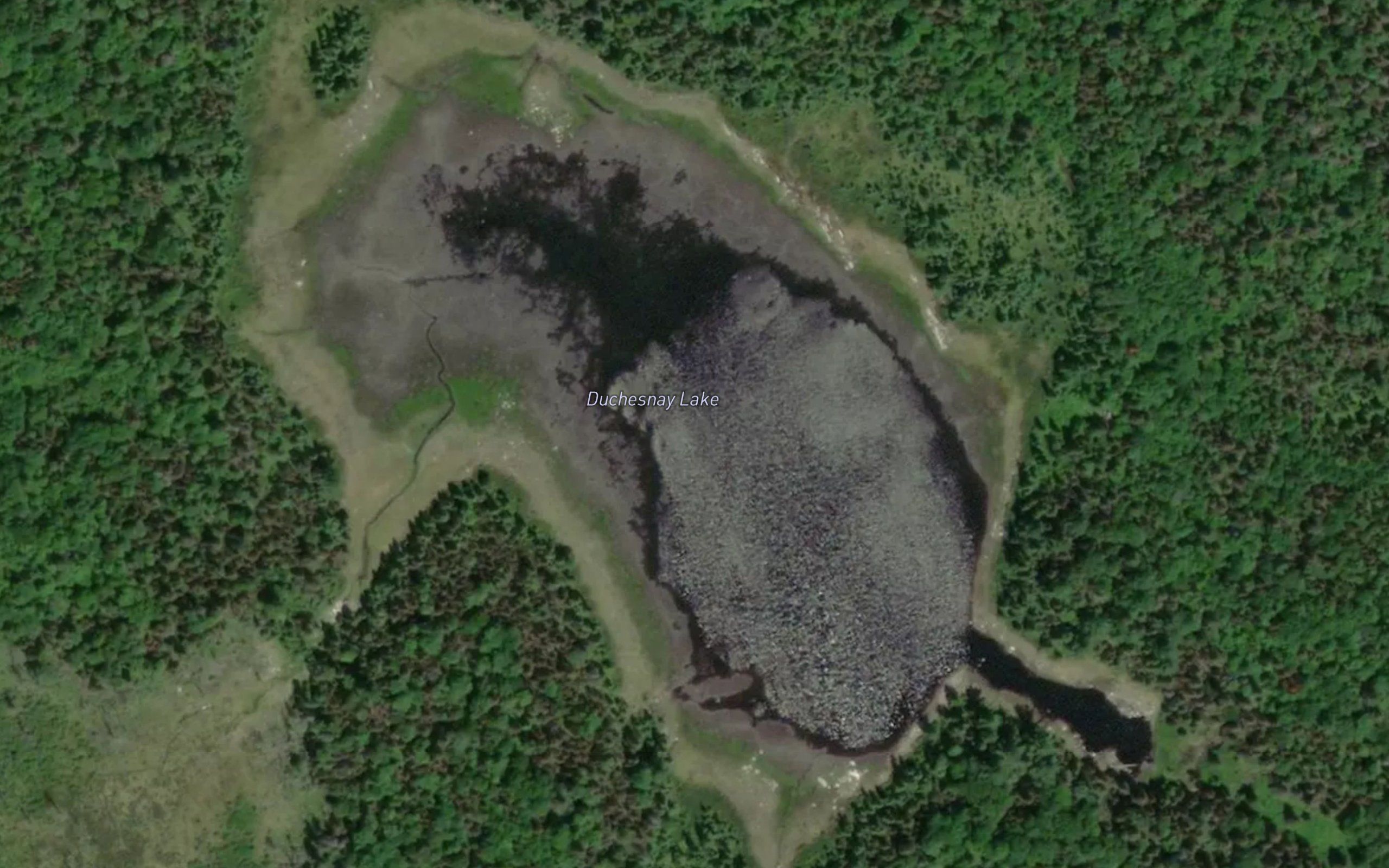 Duchesnay Lake