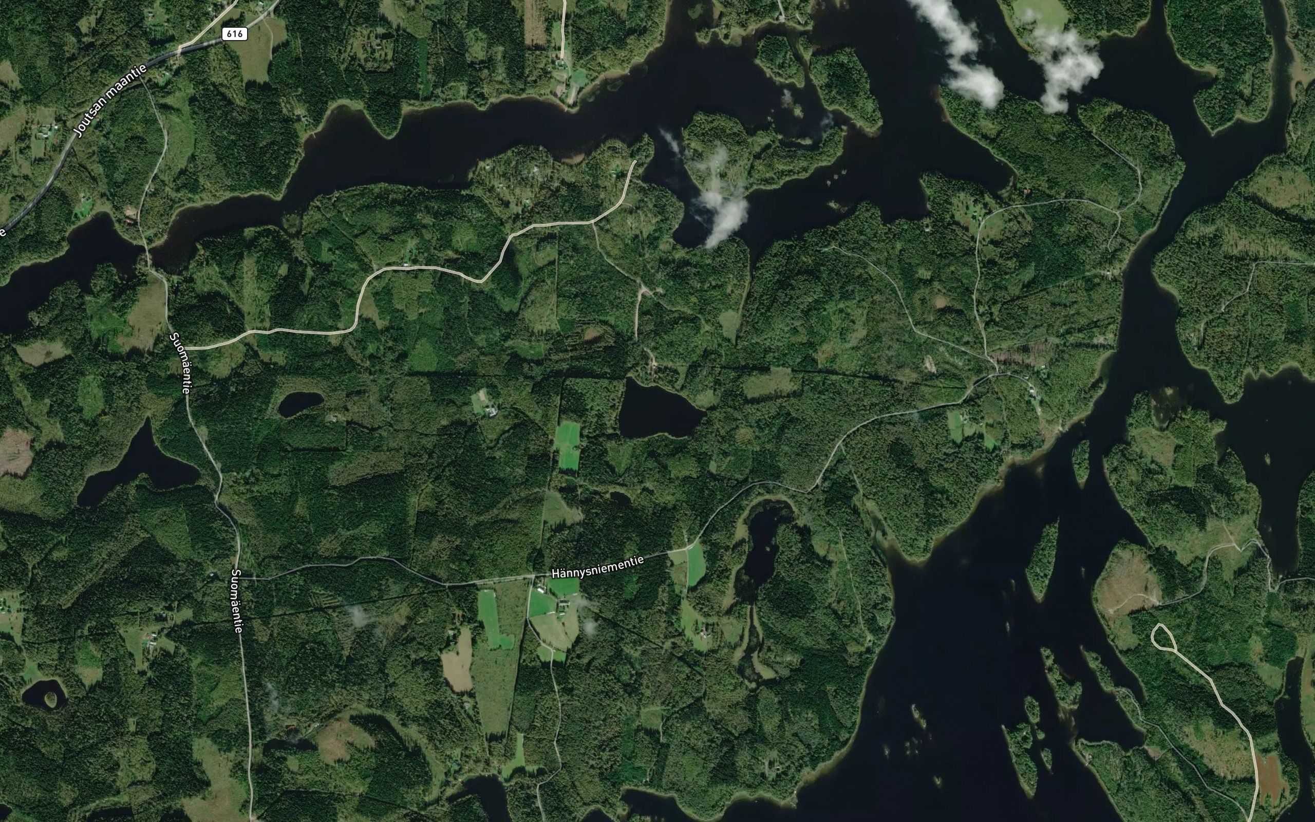 Haukilampi