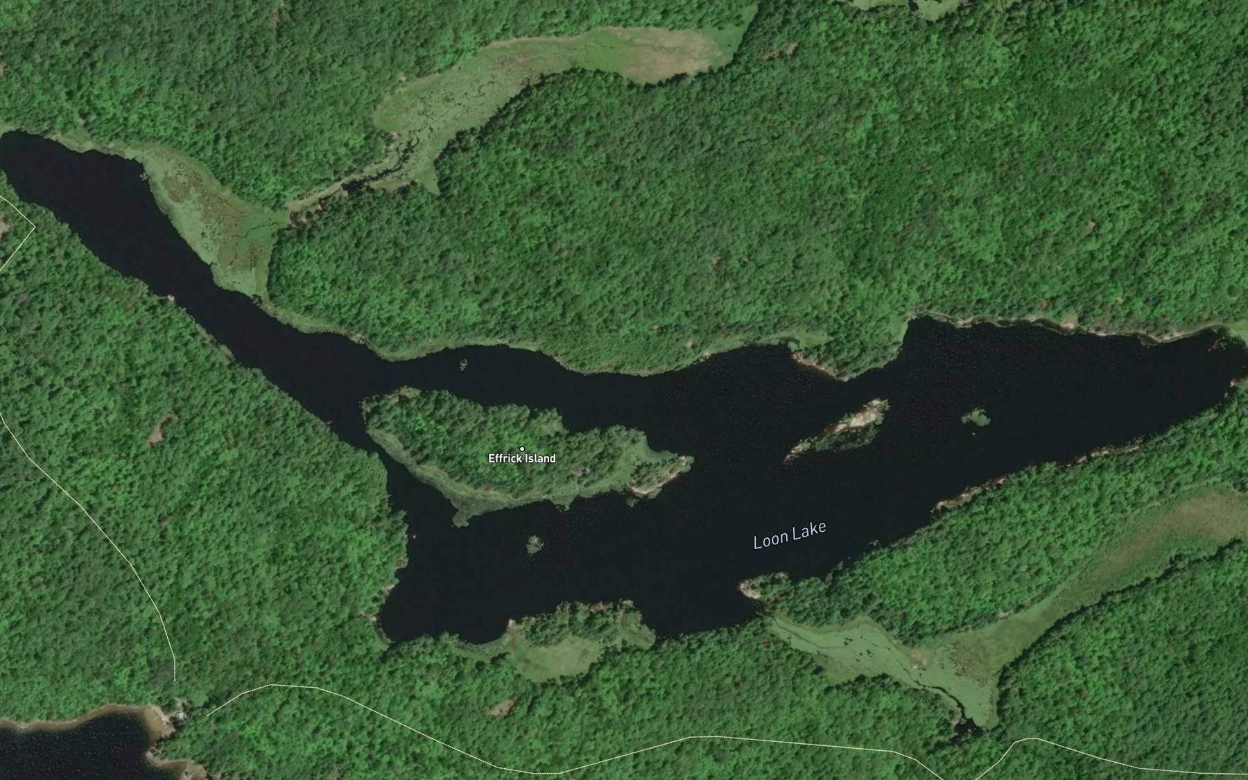 Satellite map of the Loon Lake