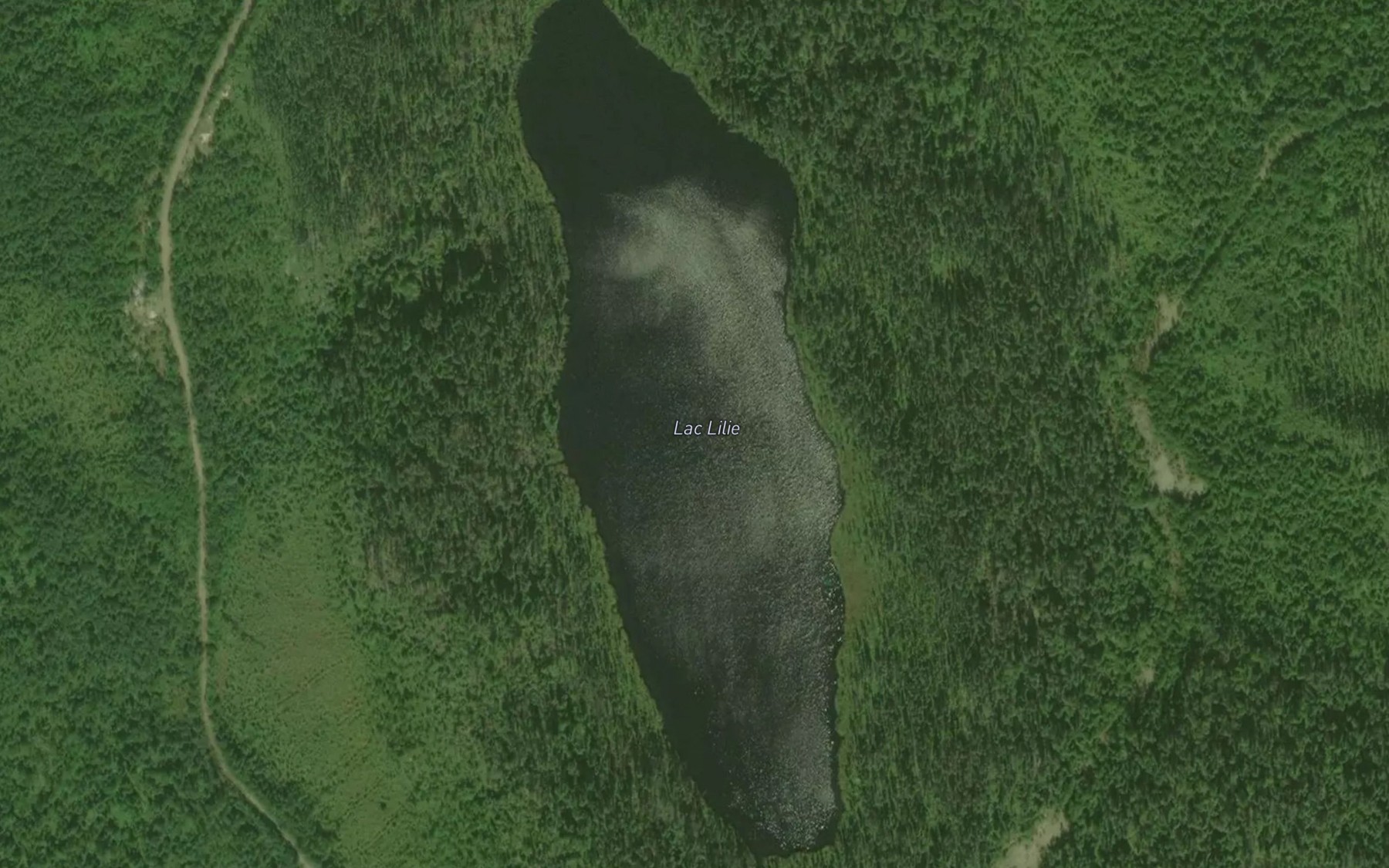 Satellite map of the Lac Lilie