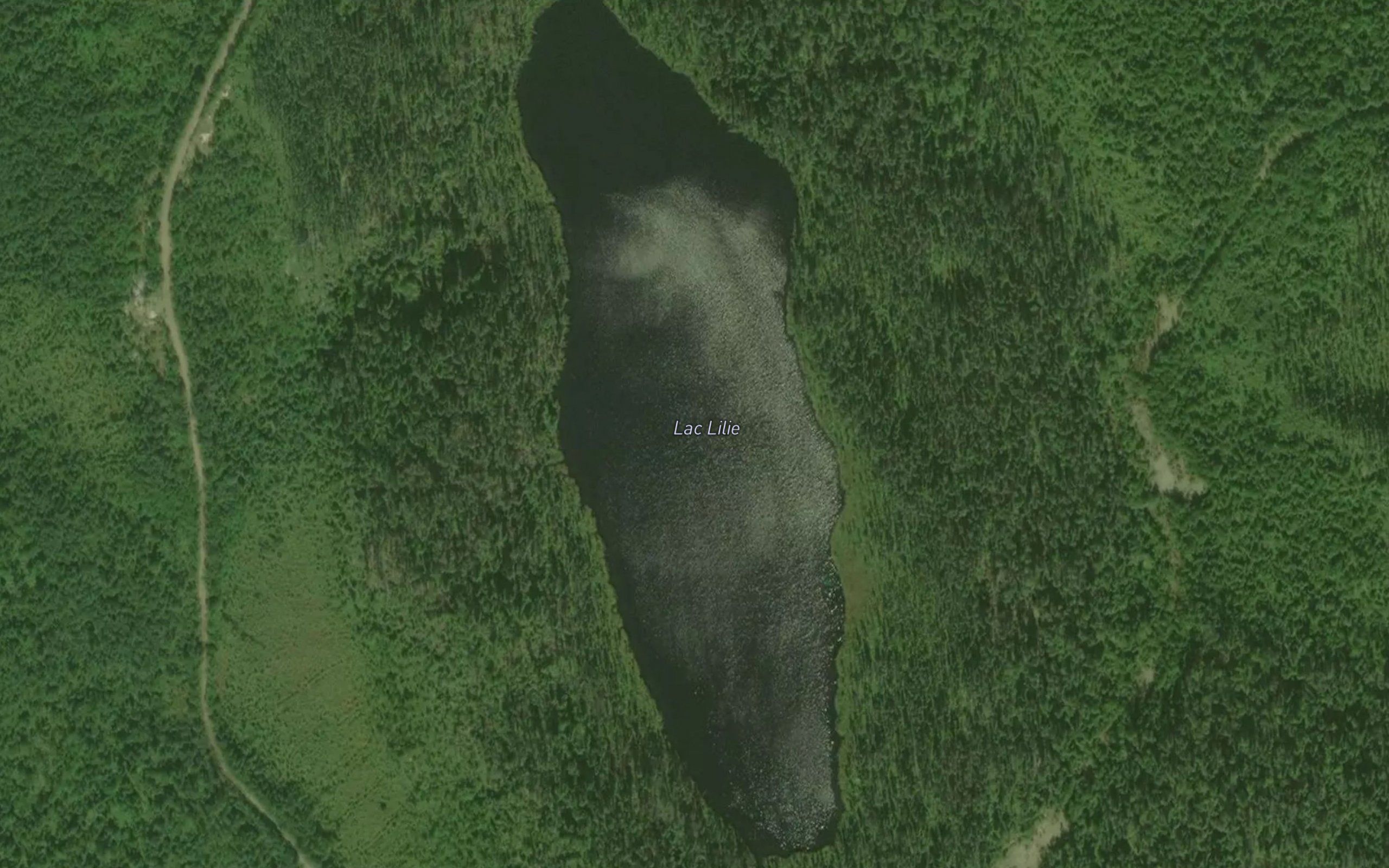 Lac Lilie