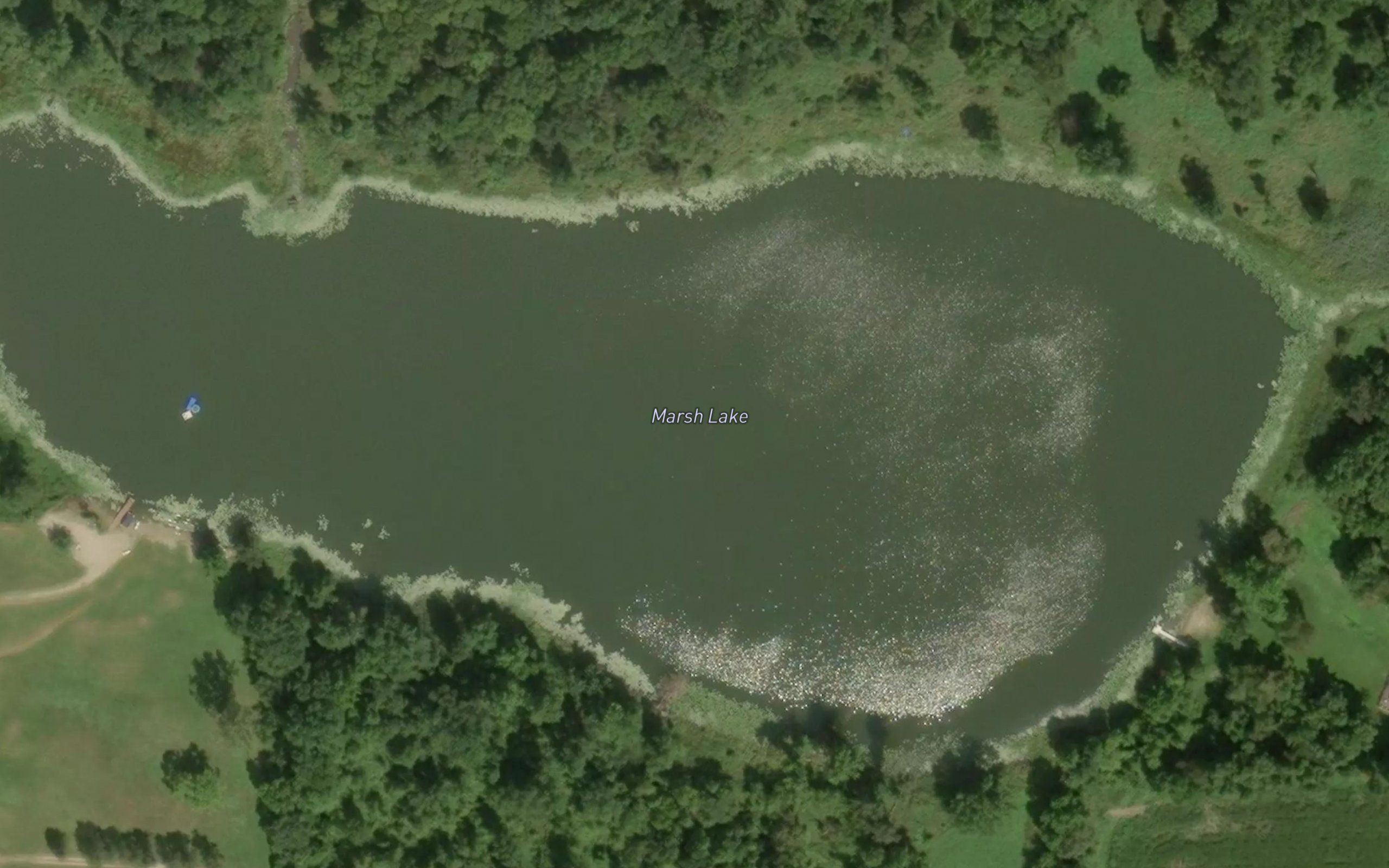 Marsh Lake