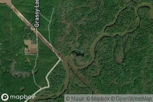 Reedy Creek