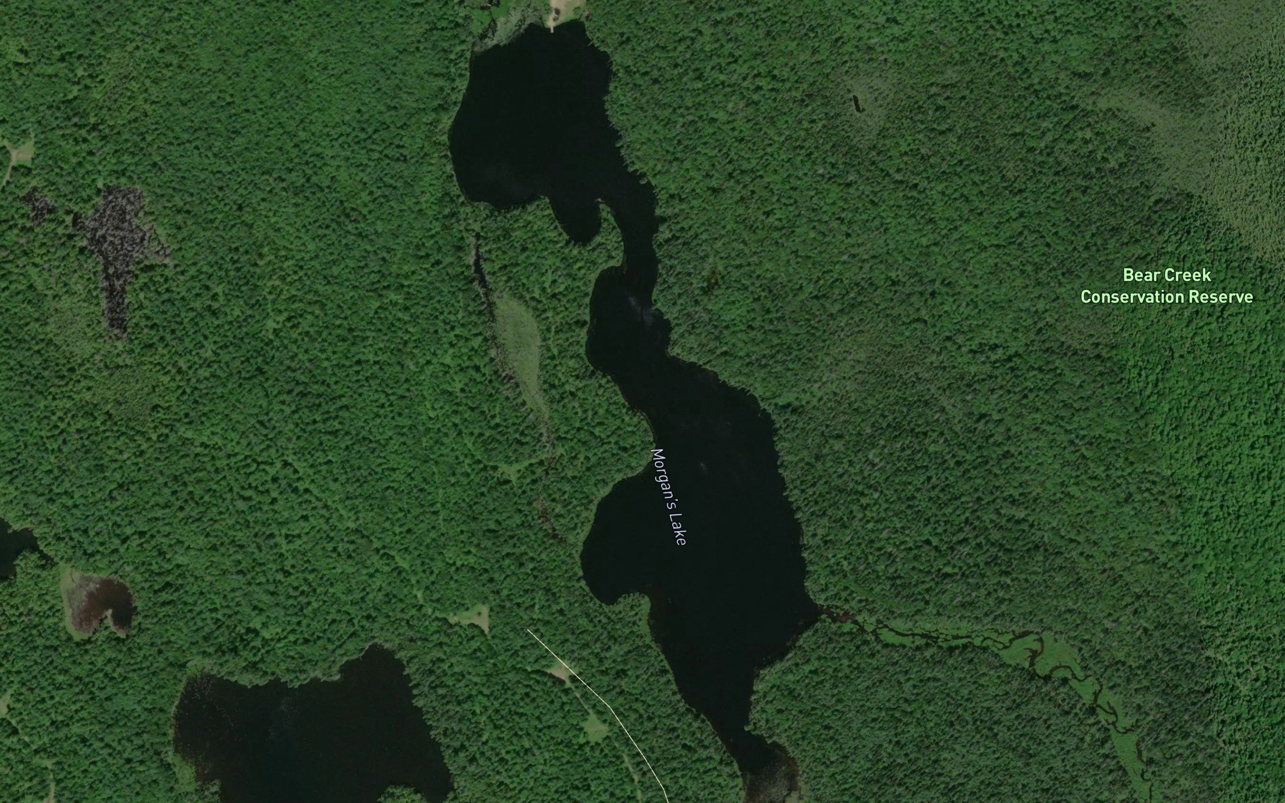 Morgan's Lake
