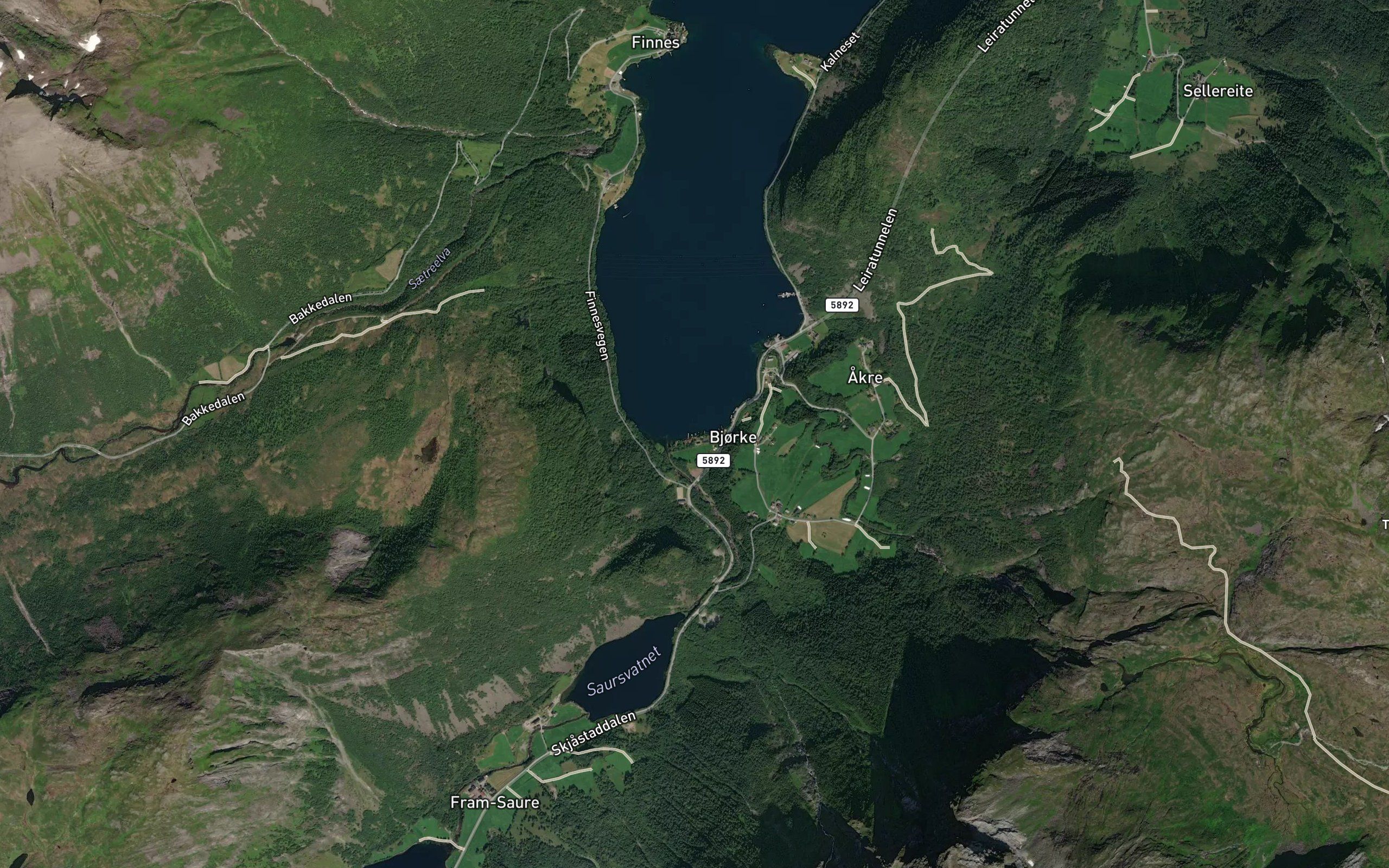 Bjorkevika