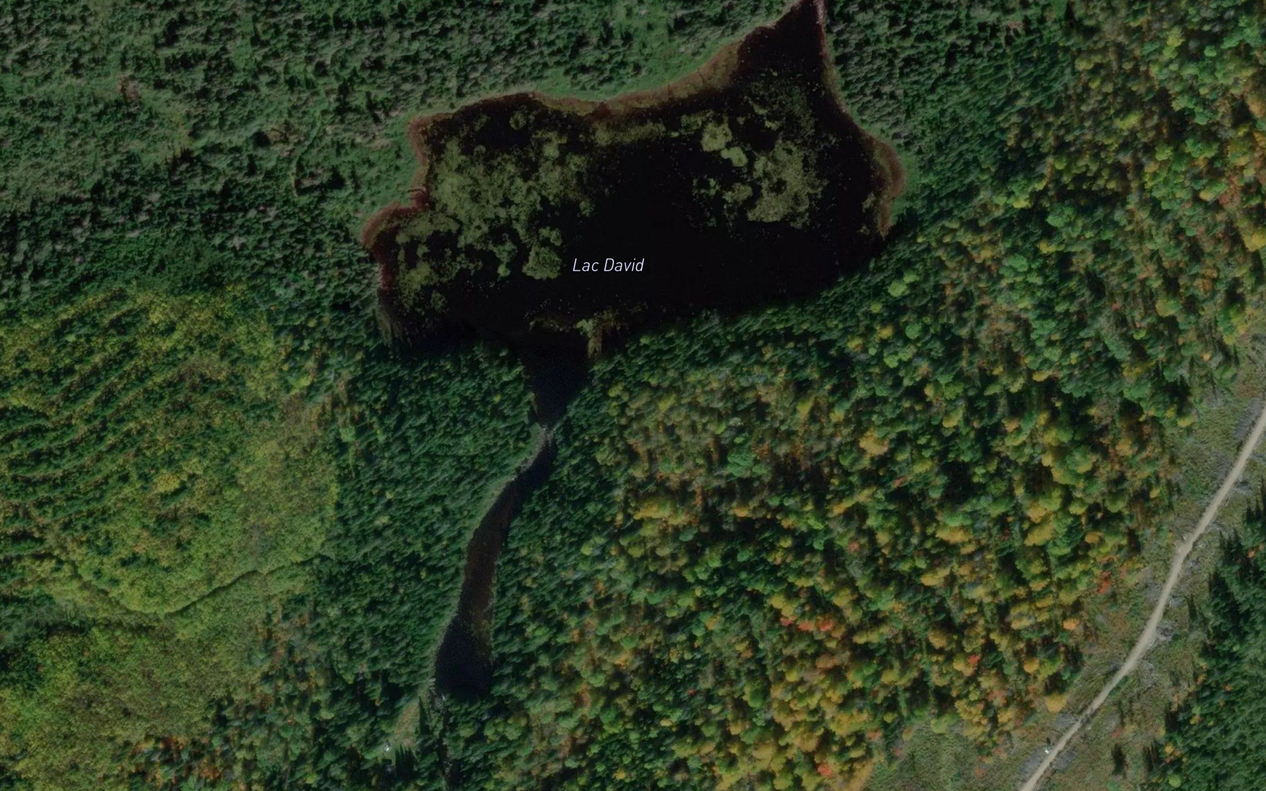 Lac David