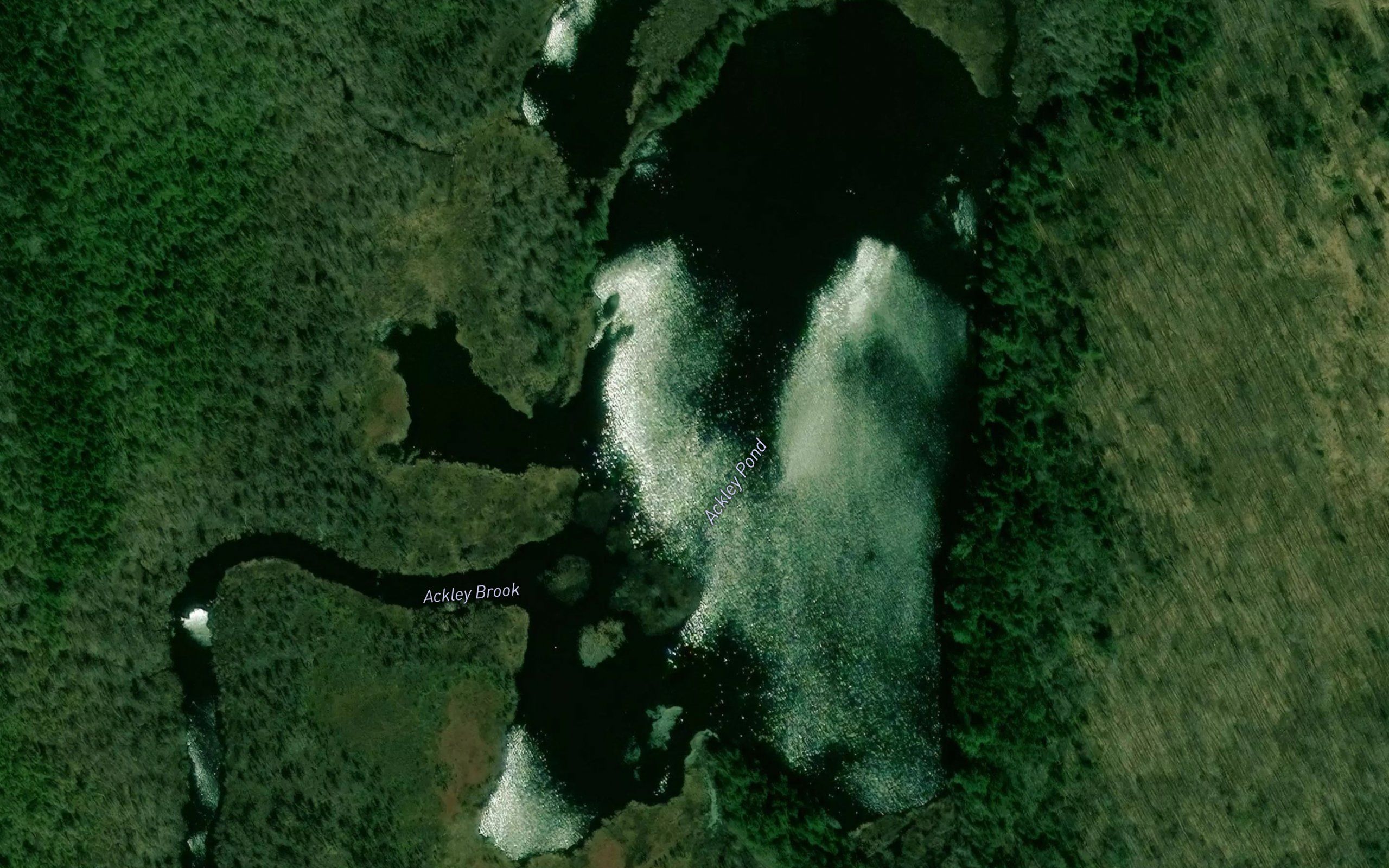 Ackley Pond