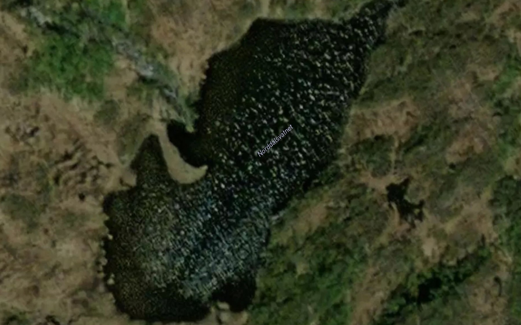 Satellite map of the Gronnlivatnet