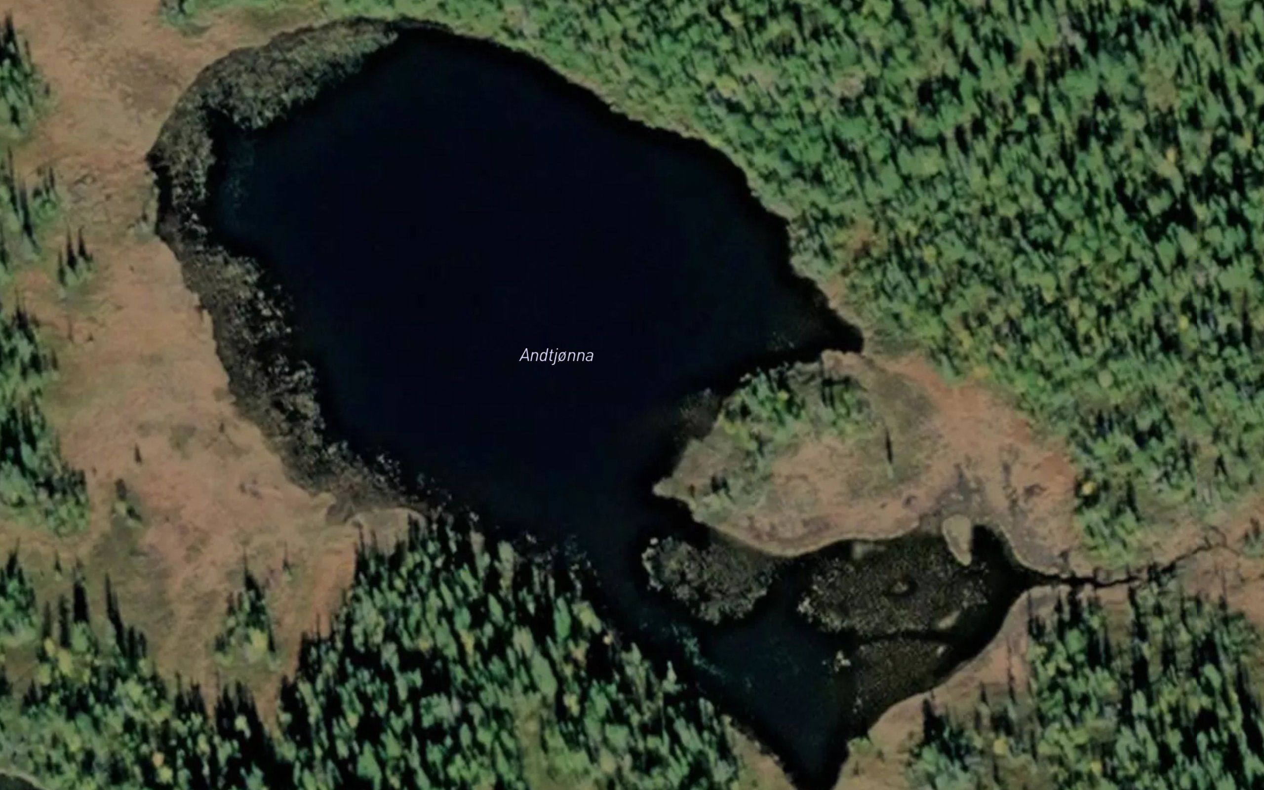 Andtjorna
