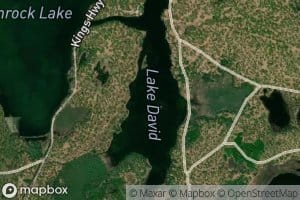 Lake David