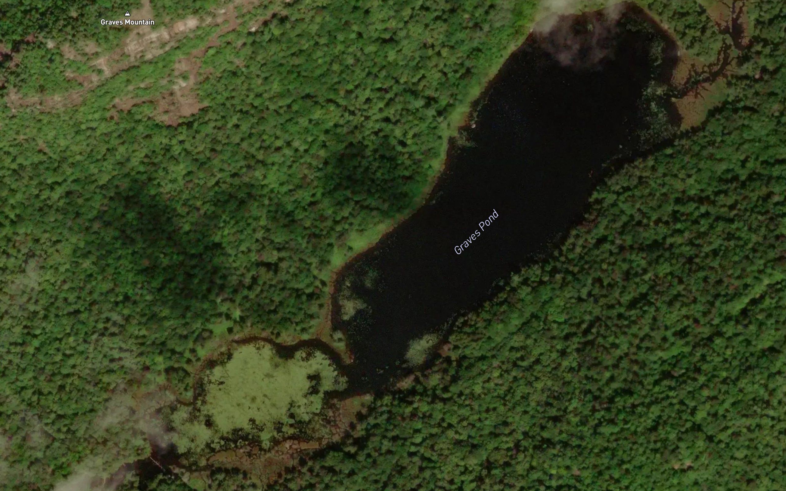 Graves Pond