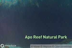Apo Reef