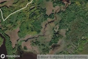 Otter Creek