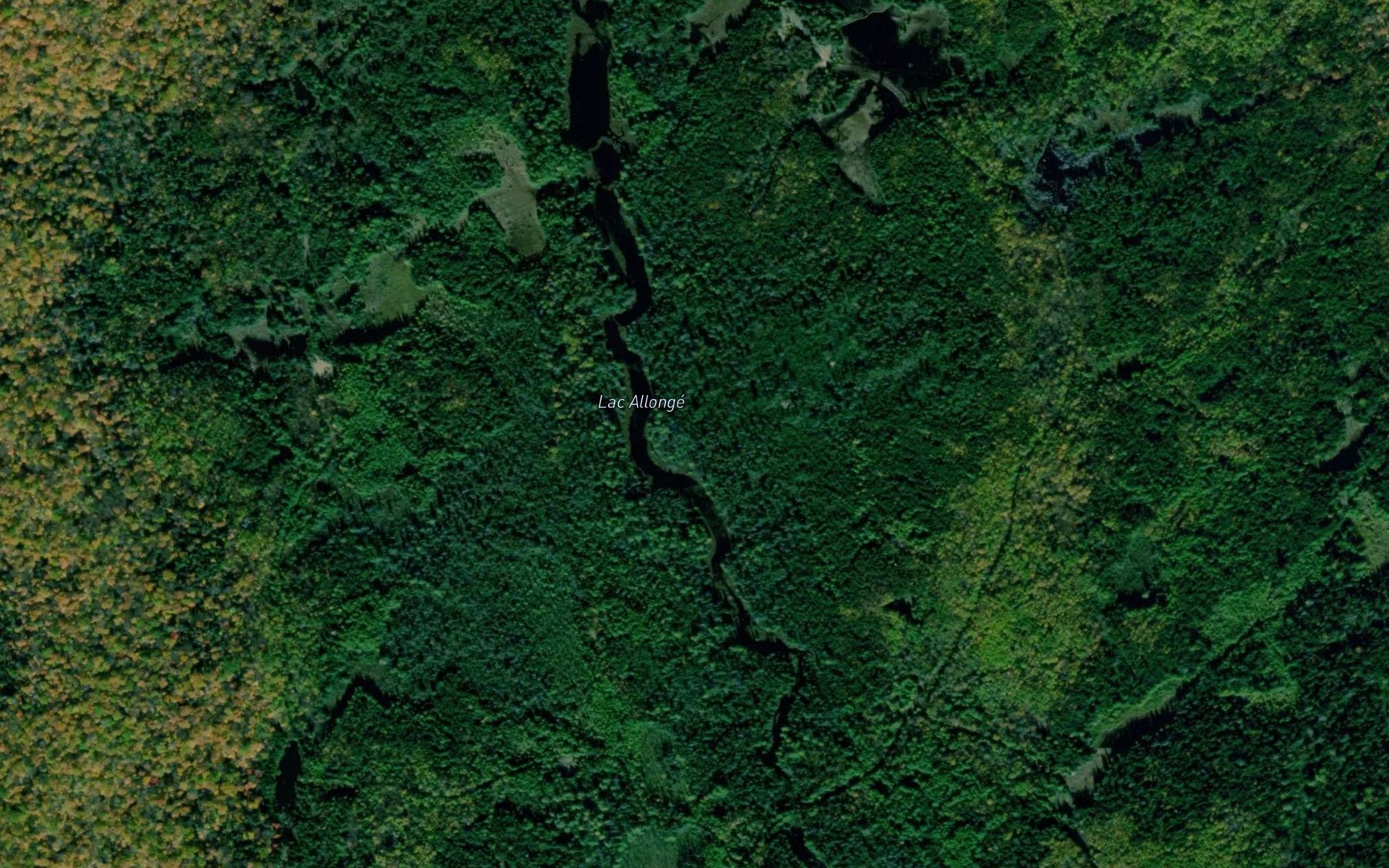 Satellite map of the Lac Allonge