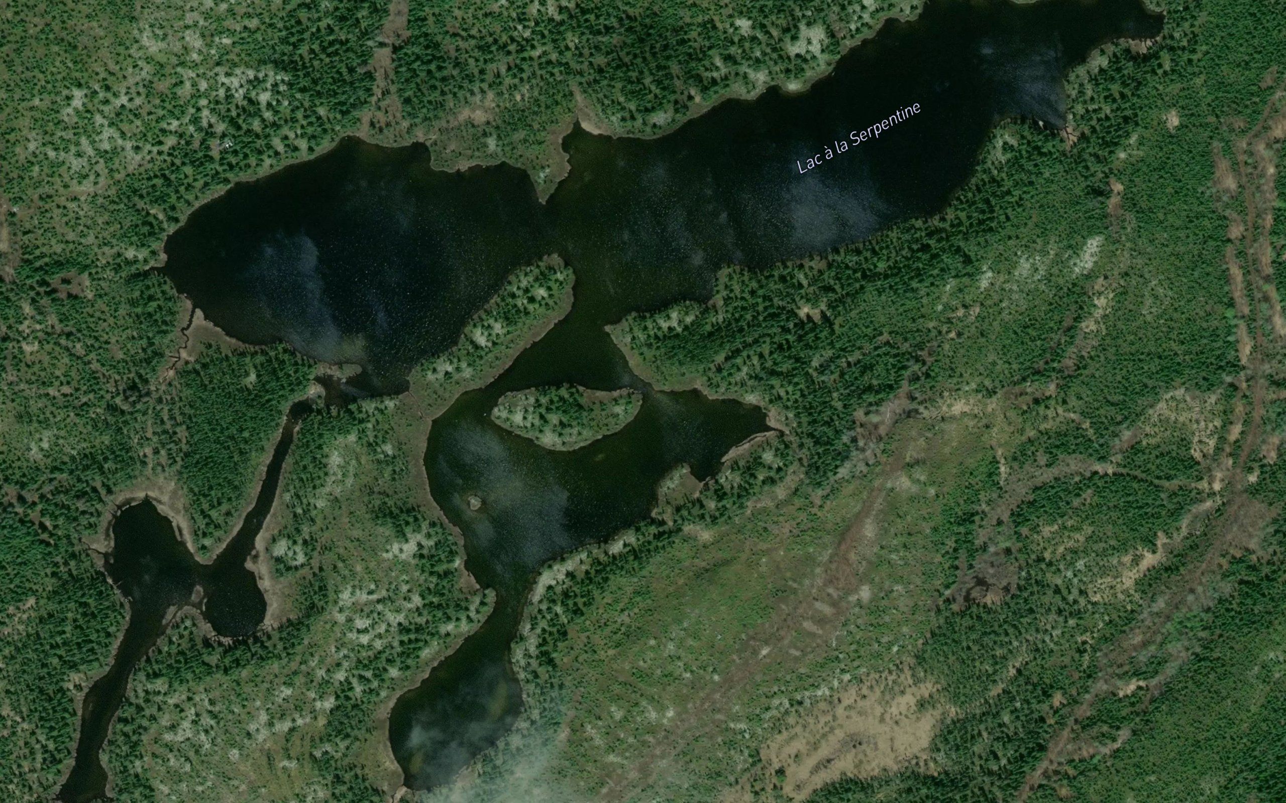 Lac a la Serpentine