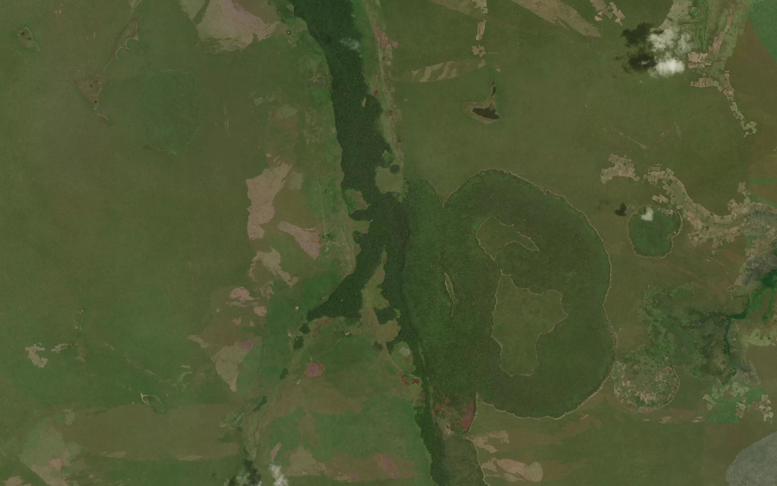 Kapakasa