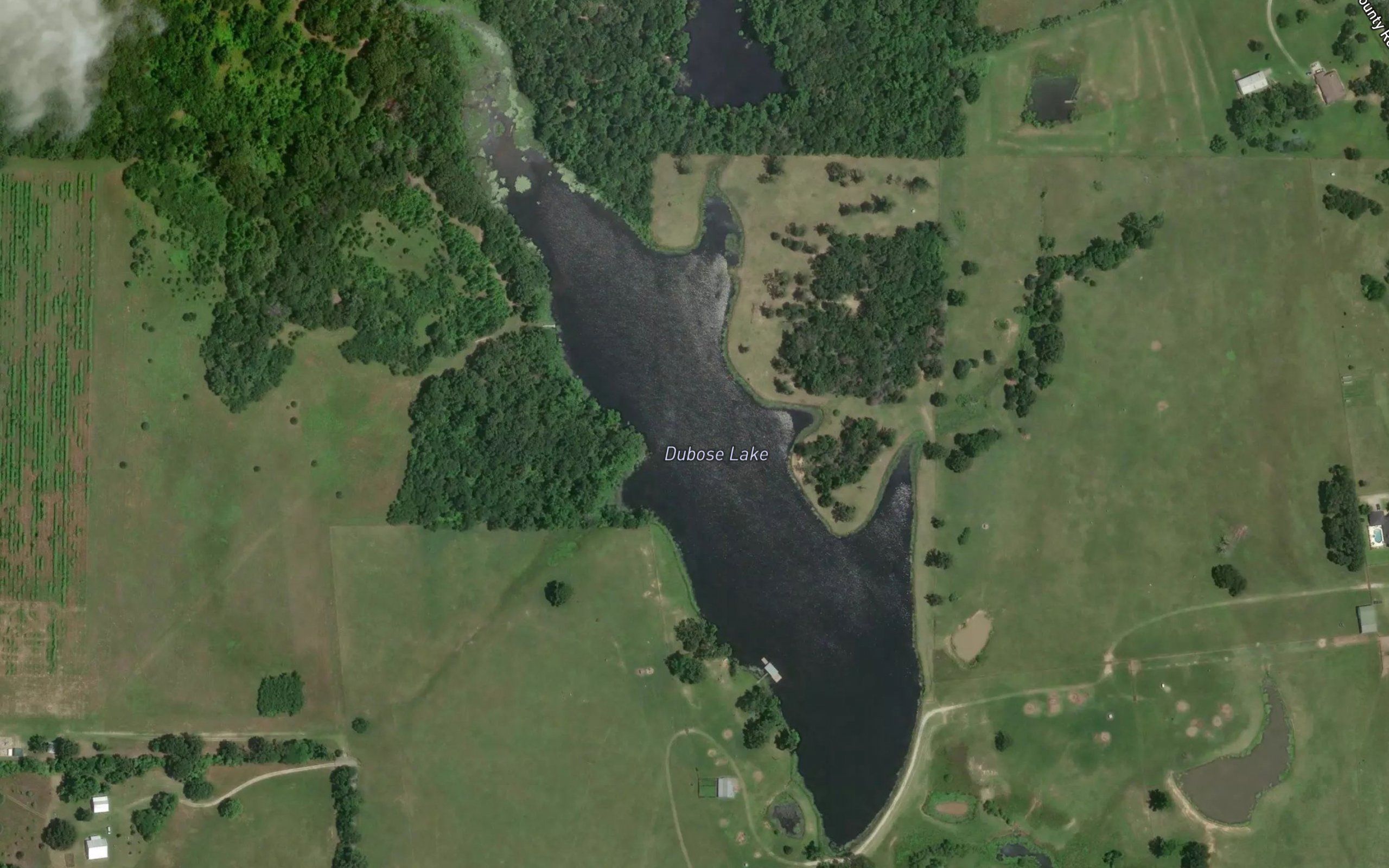 Dubose Lake